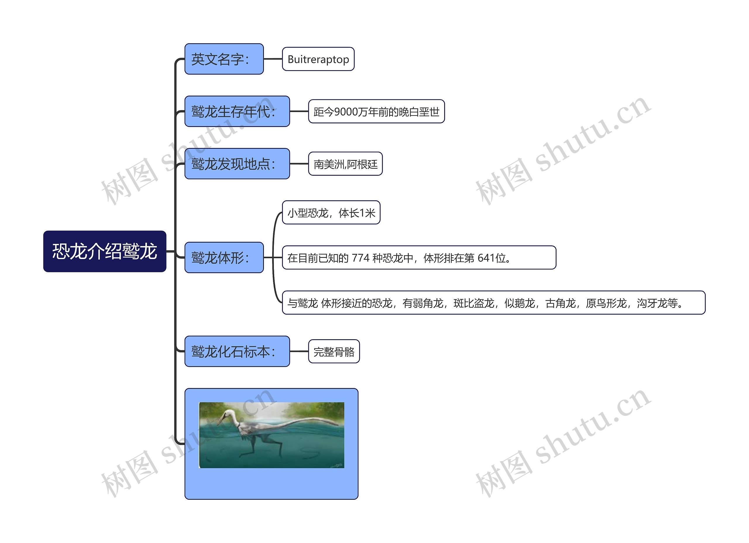 恐龙介绍鹫龙思维导图