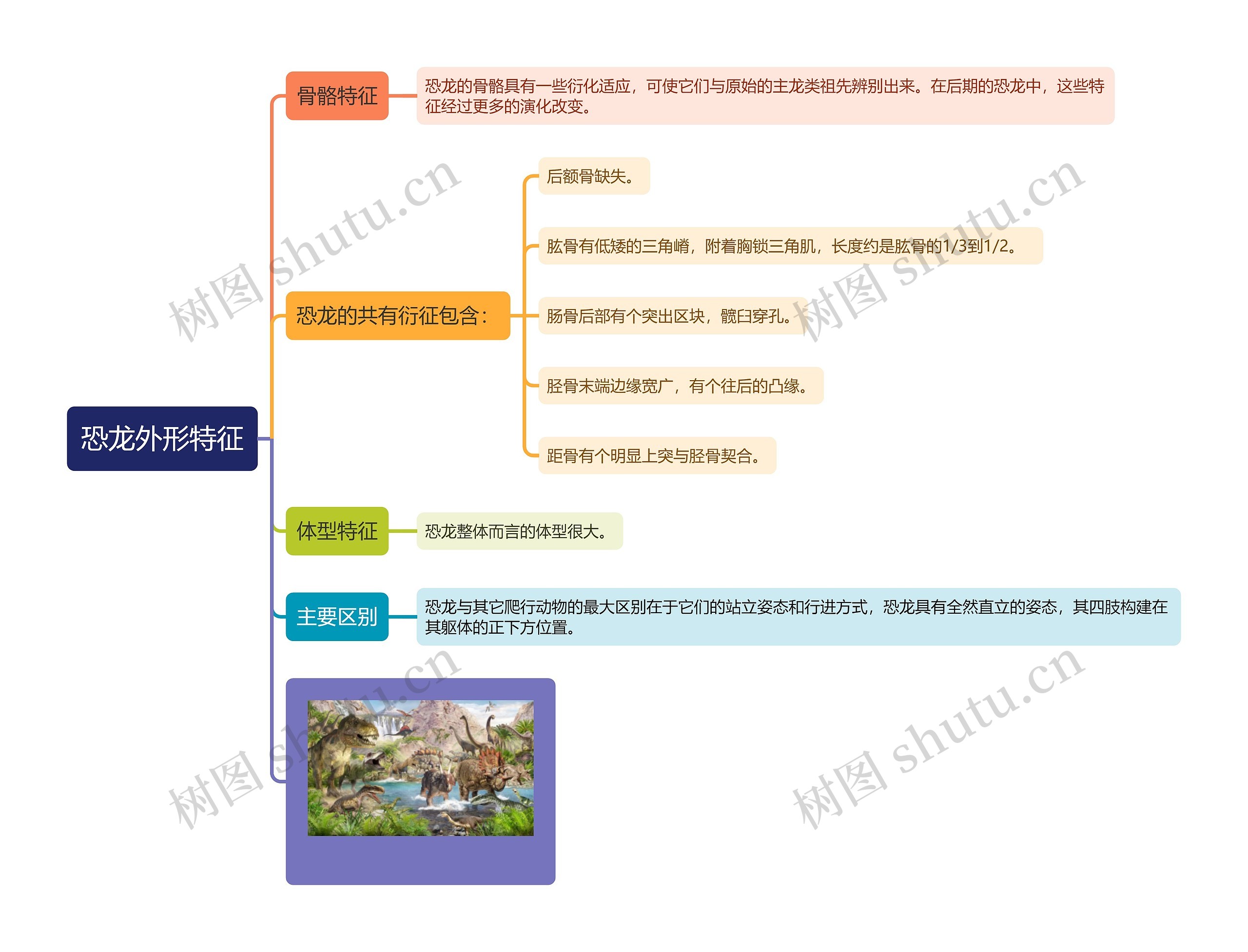 恐龙外形特征思维导图