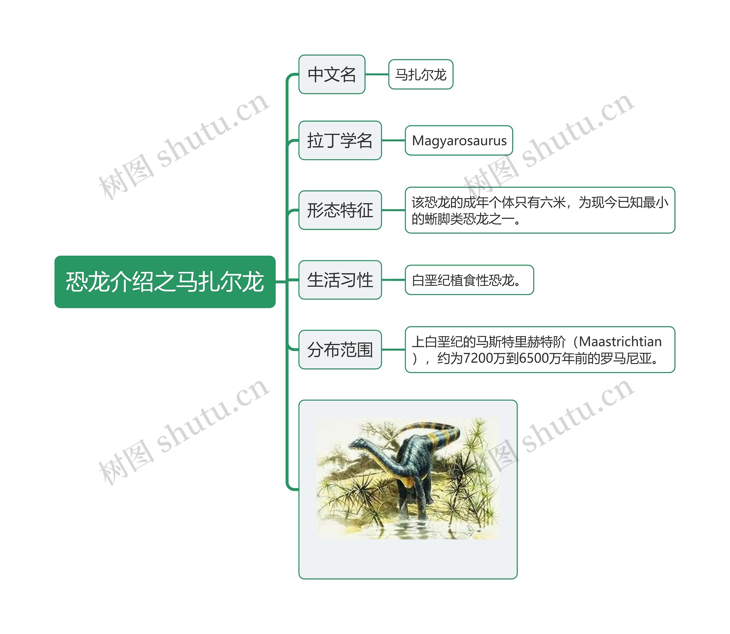 恐龙介绍之马扎尔龙思维导图