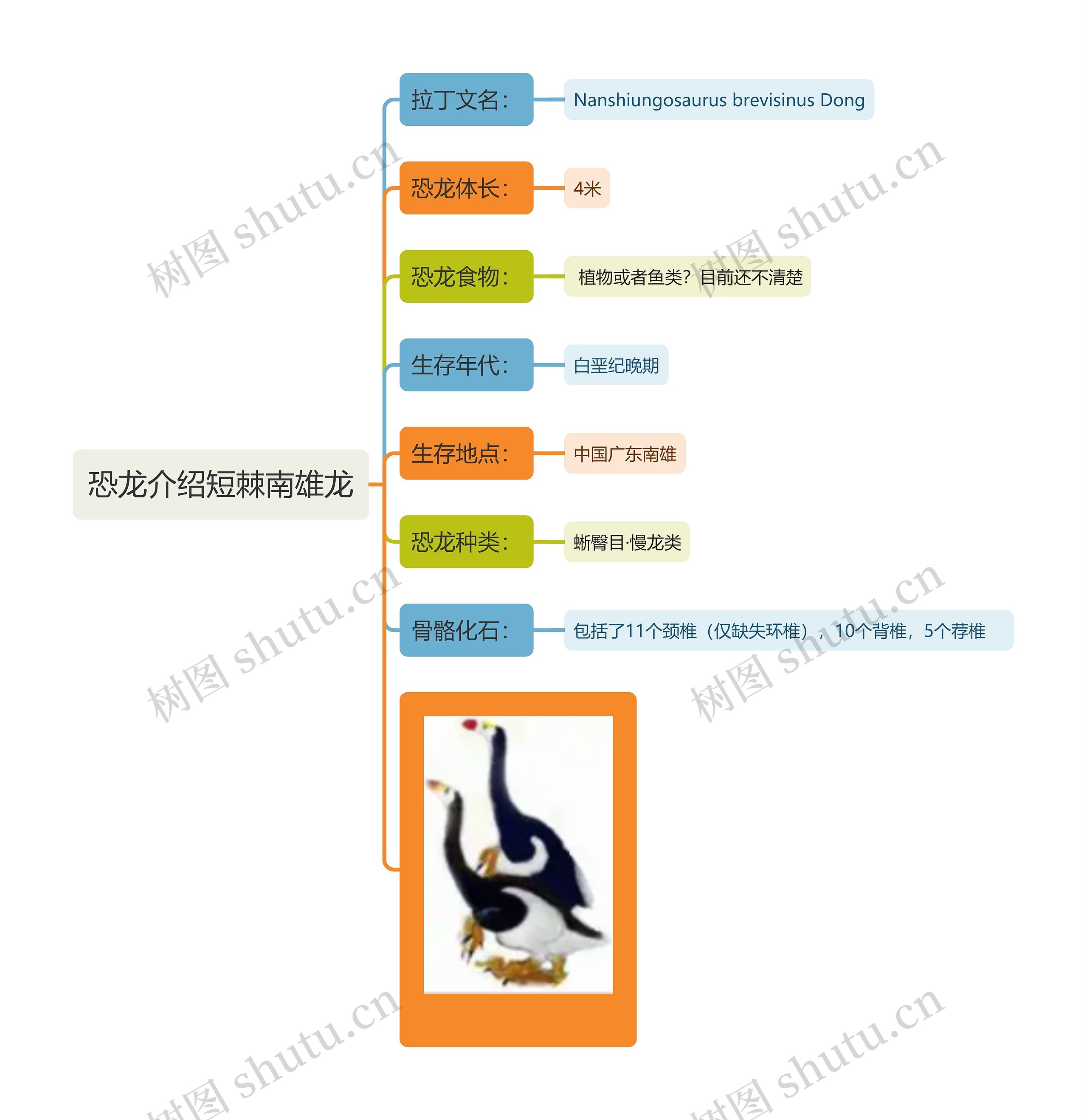 恐龙介绍短棘南雄龙思维导图高清图 恐龙介绍短棘南雄龙思维导图