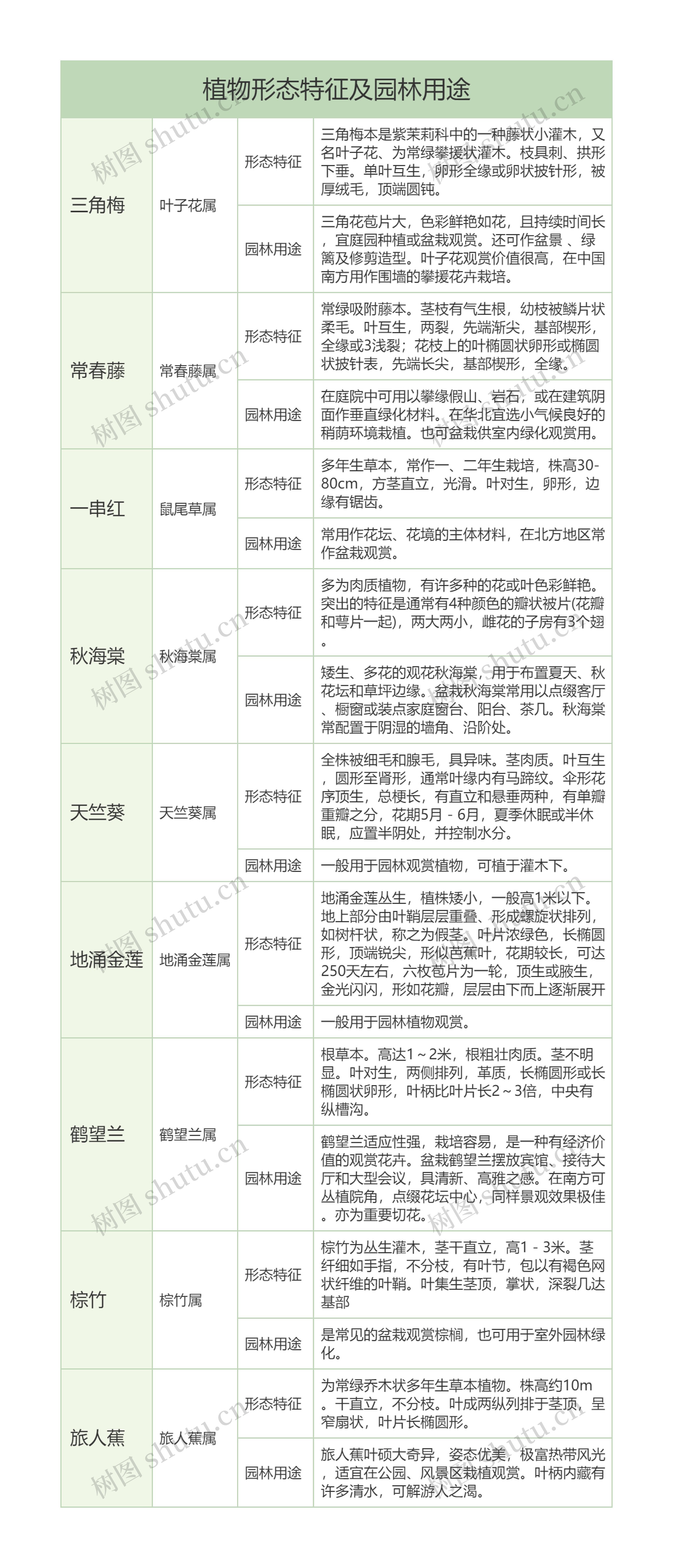 初中生物知识常见植物形态特征及园林用途树形表格