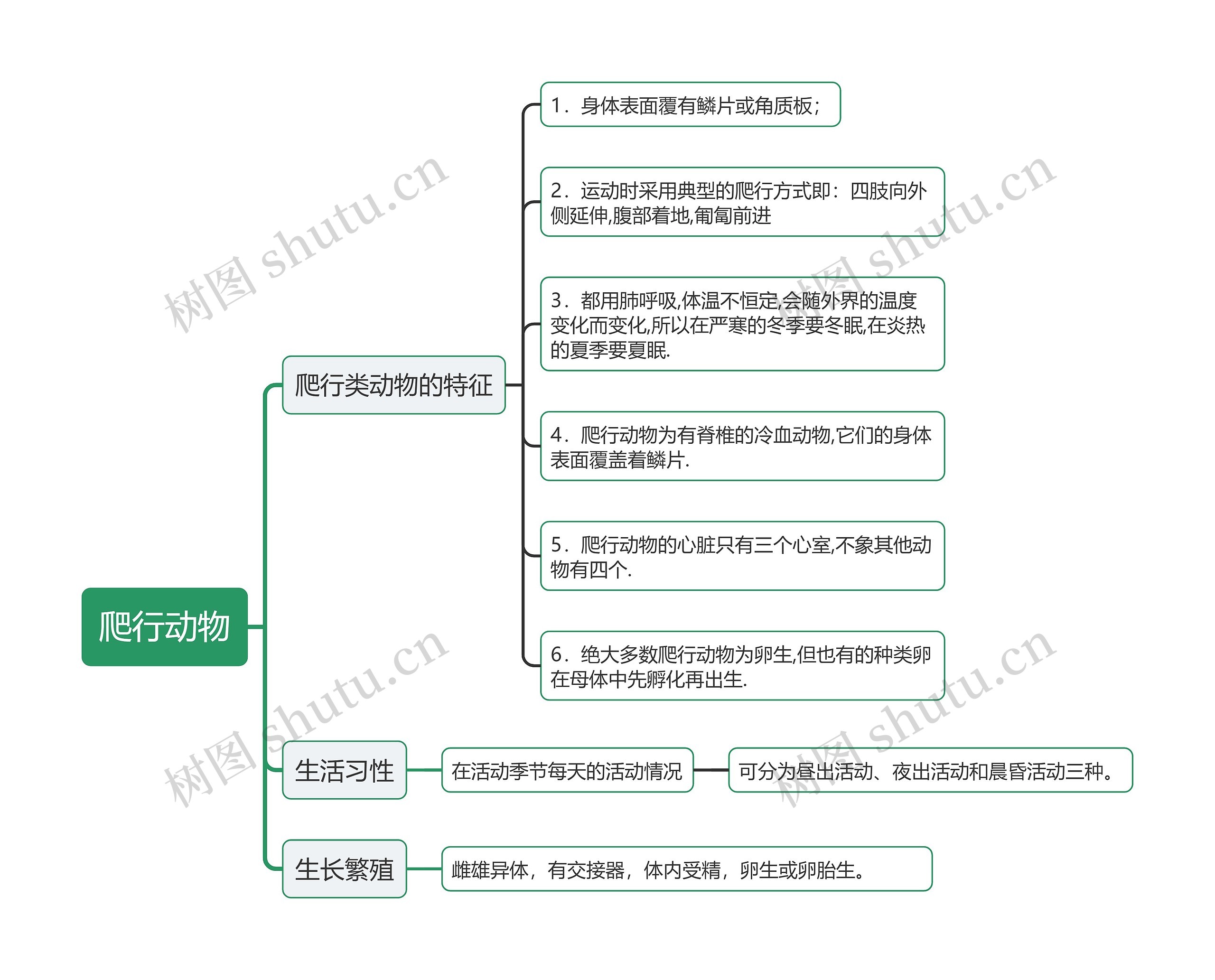 爬行动物生长特征的介绍思维导图