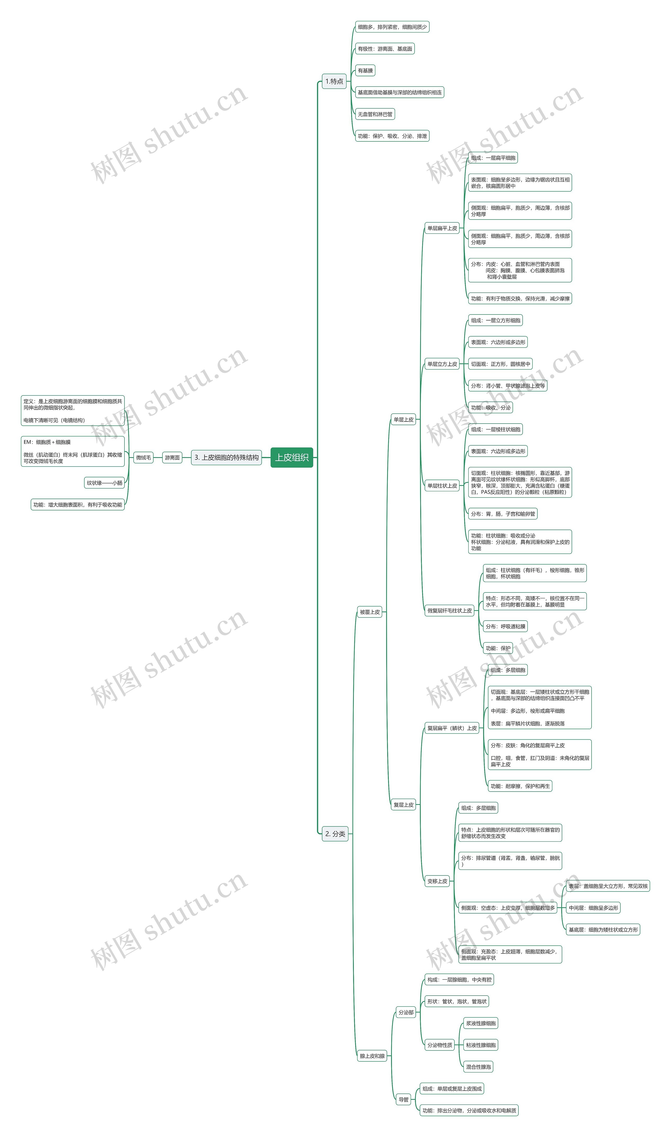 生物上皮组织思维导图