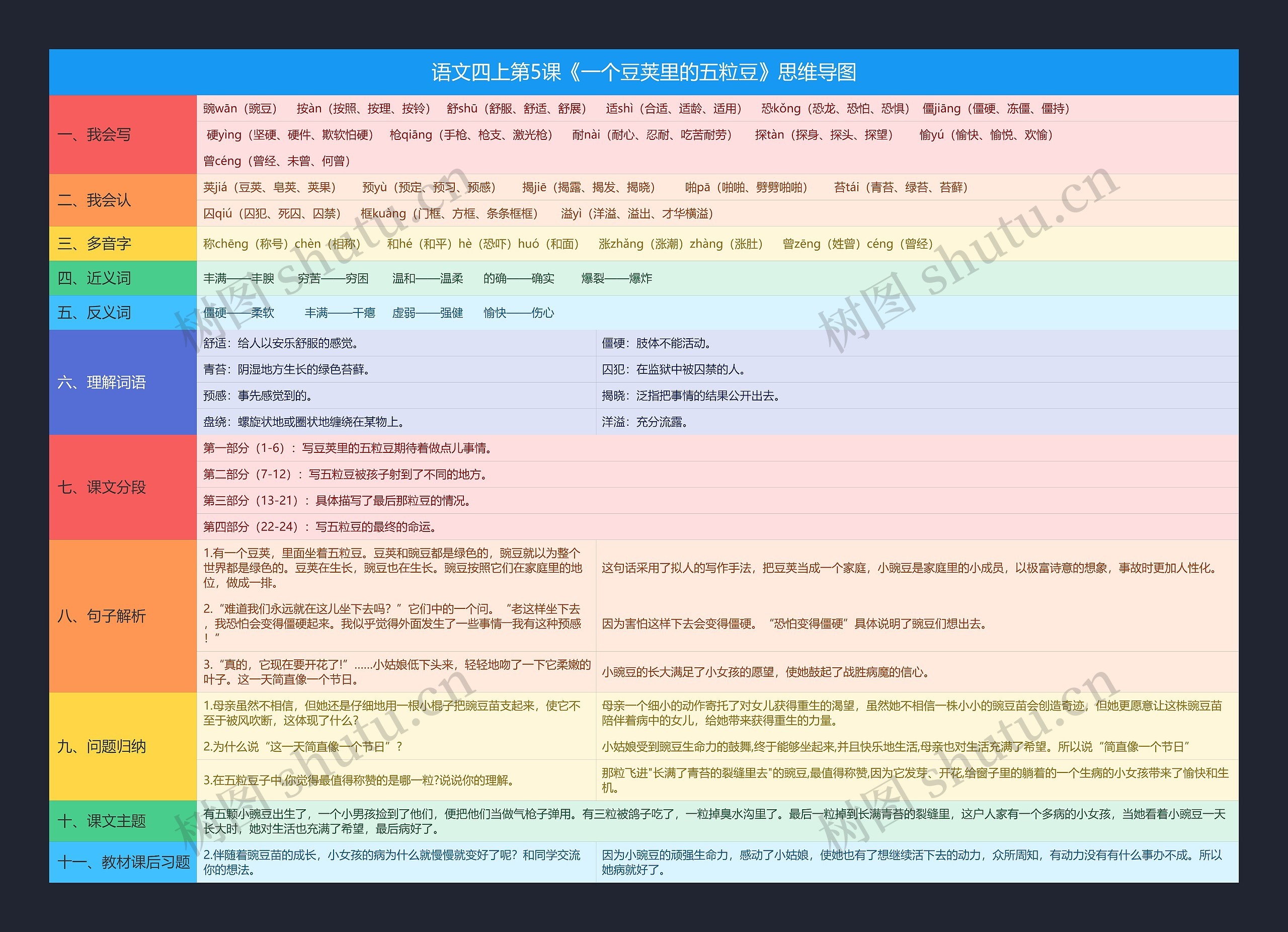 语文四上第5课《一个豆荚里的五粒豆》思维导图