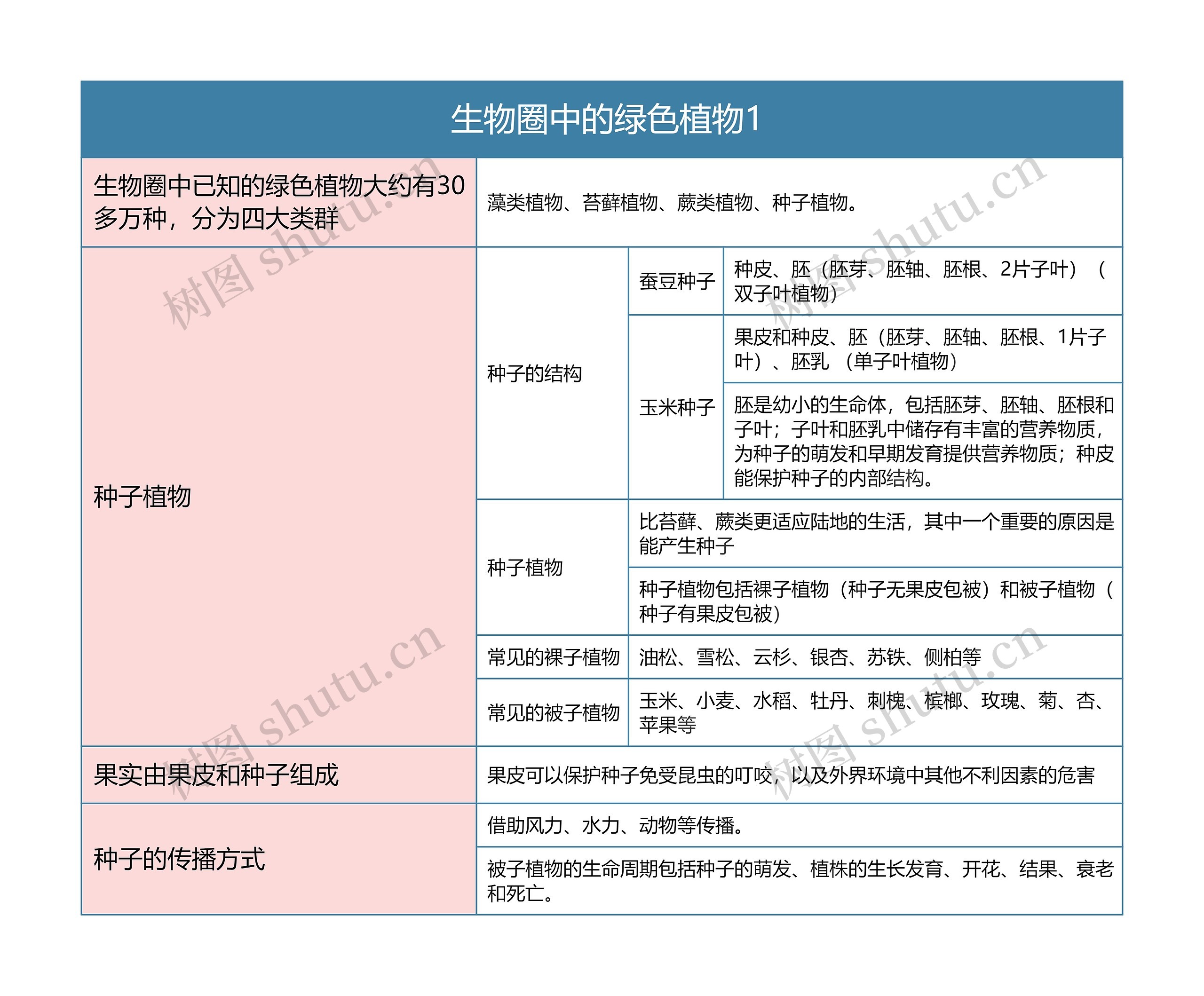  生物圈中的绿色植物1思维导图