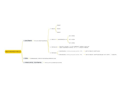神经元间的相互作用方式思维导图