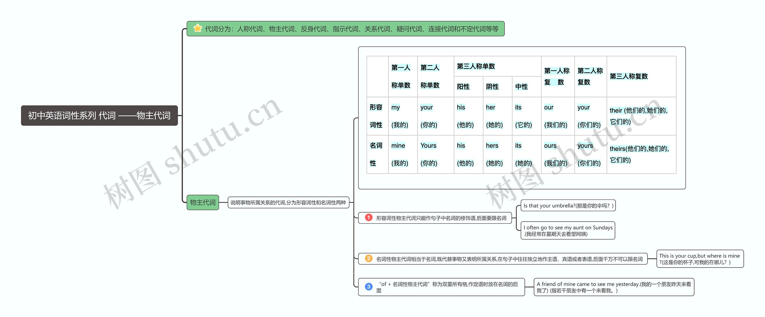 物主代词思维导图