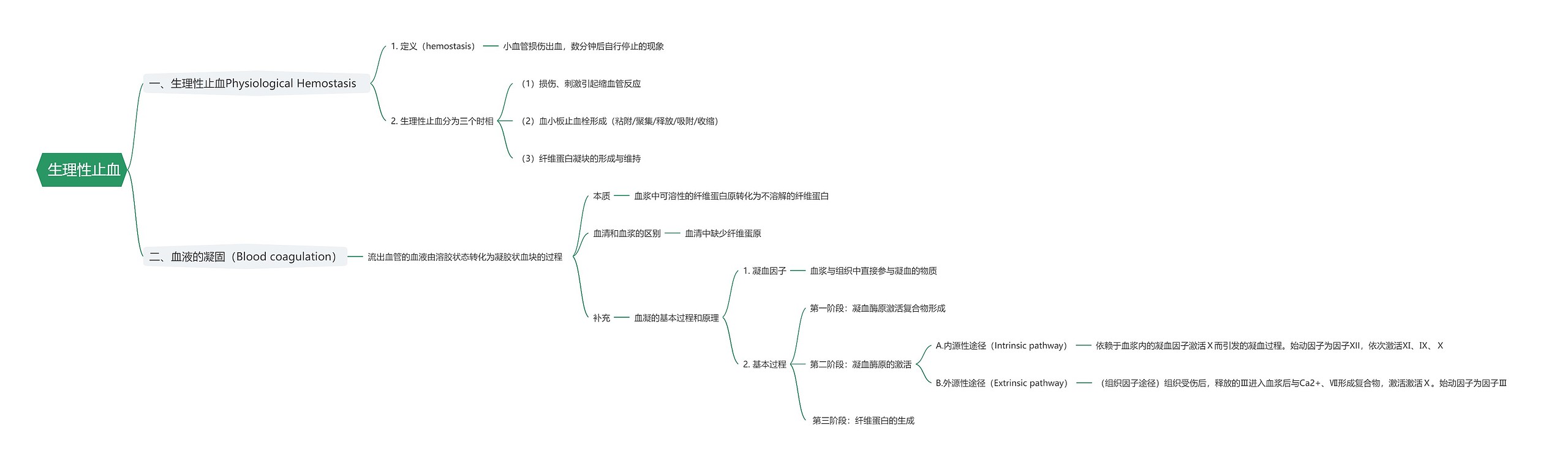  生理性止血思维导图