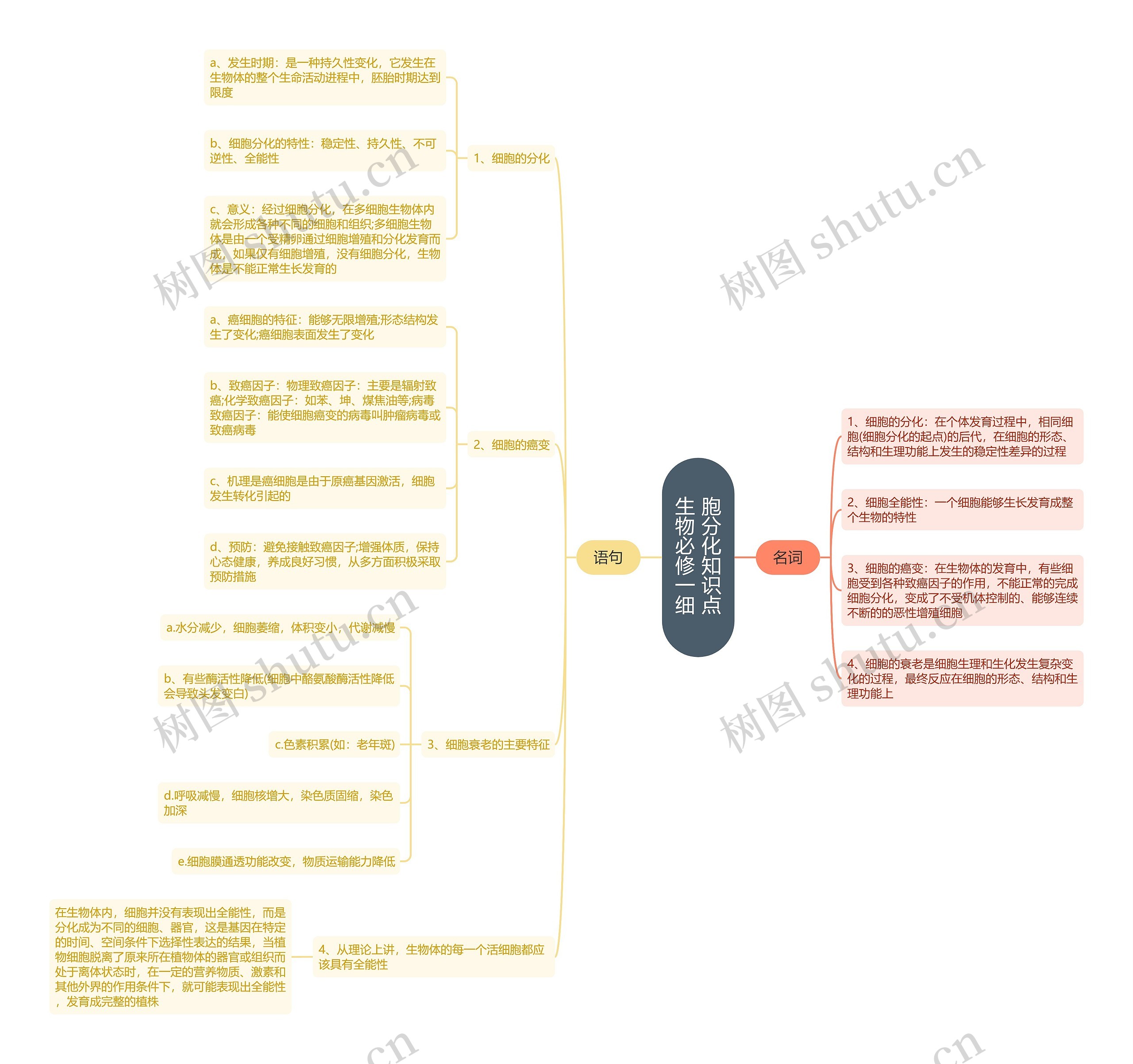 生物必修一细胞分化知识点思维导图