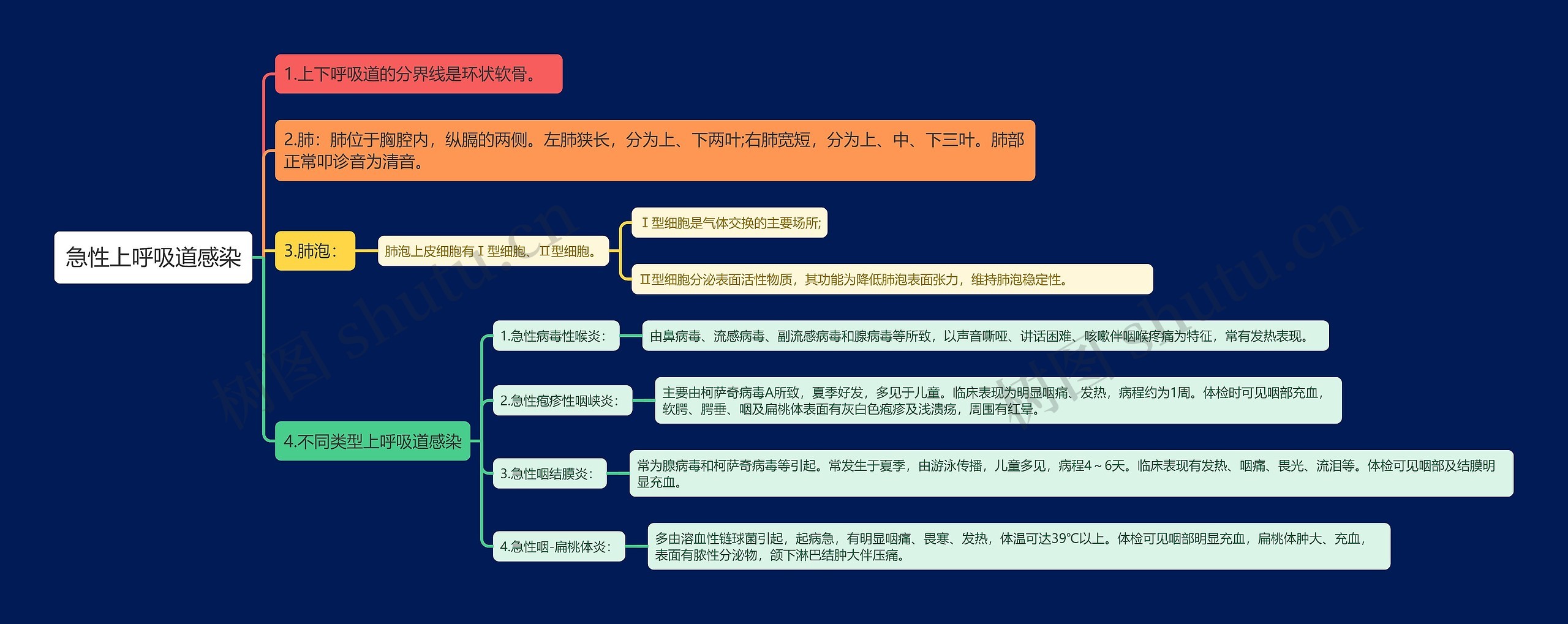 急性上呼吸道感染知识点