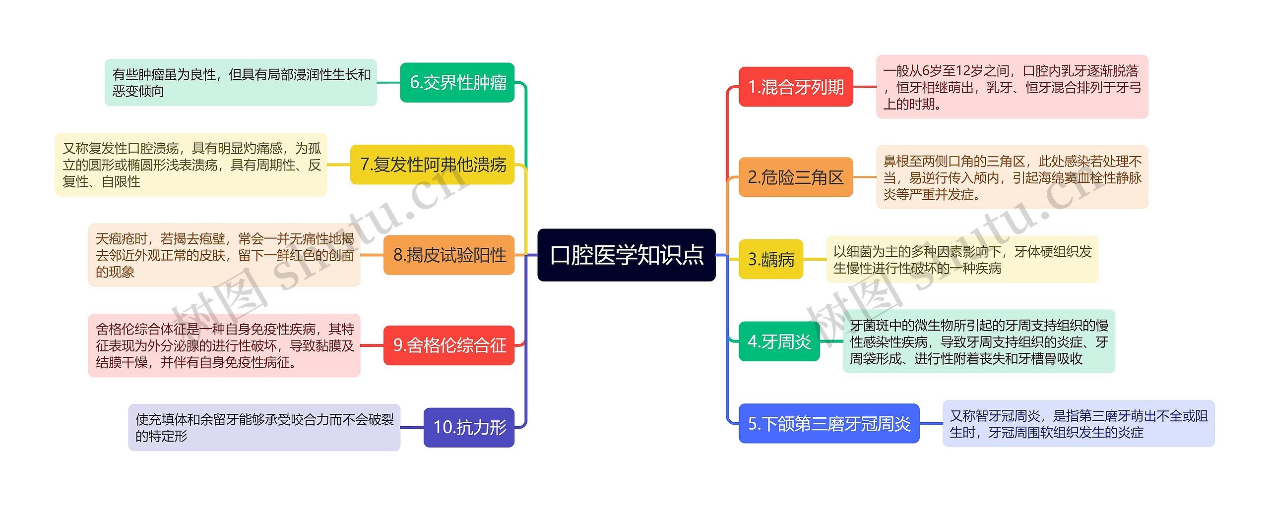 口腔基本结构思维导图图片