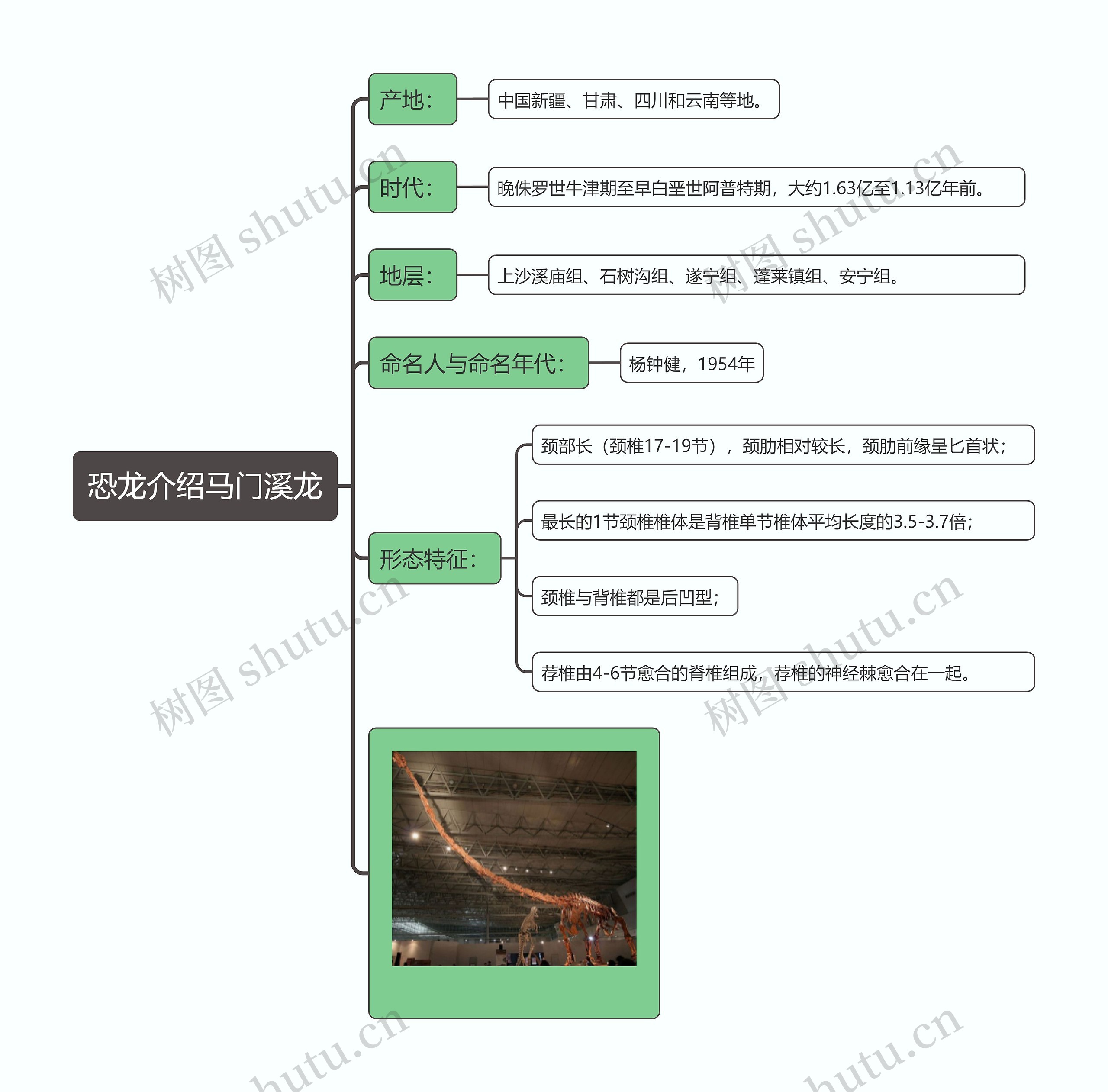 恐龙介绍马门溪龙思维导图高清图 恐龙介绍马门溪龙思维导图