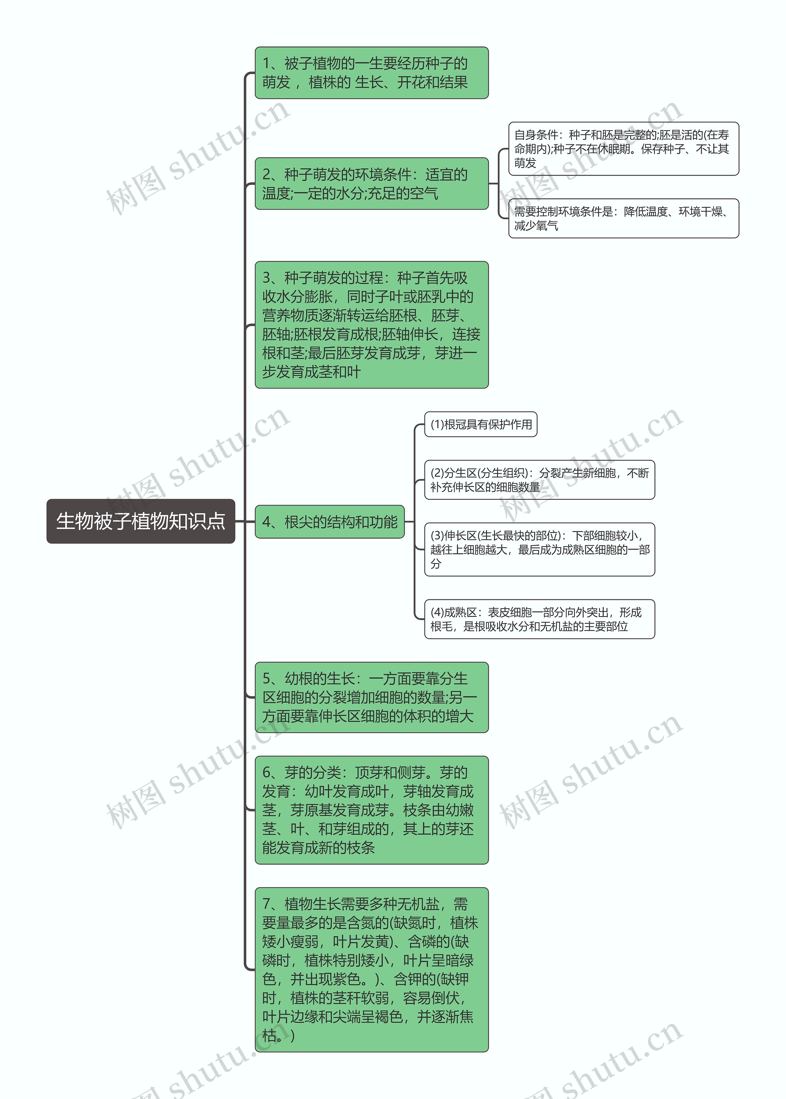 生物被子植物思维导图