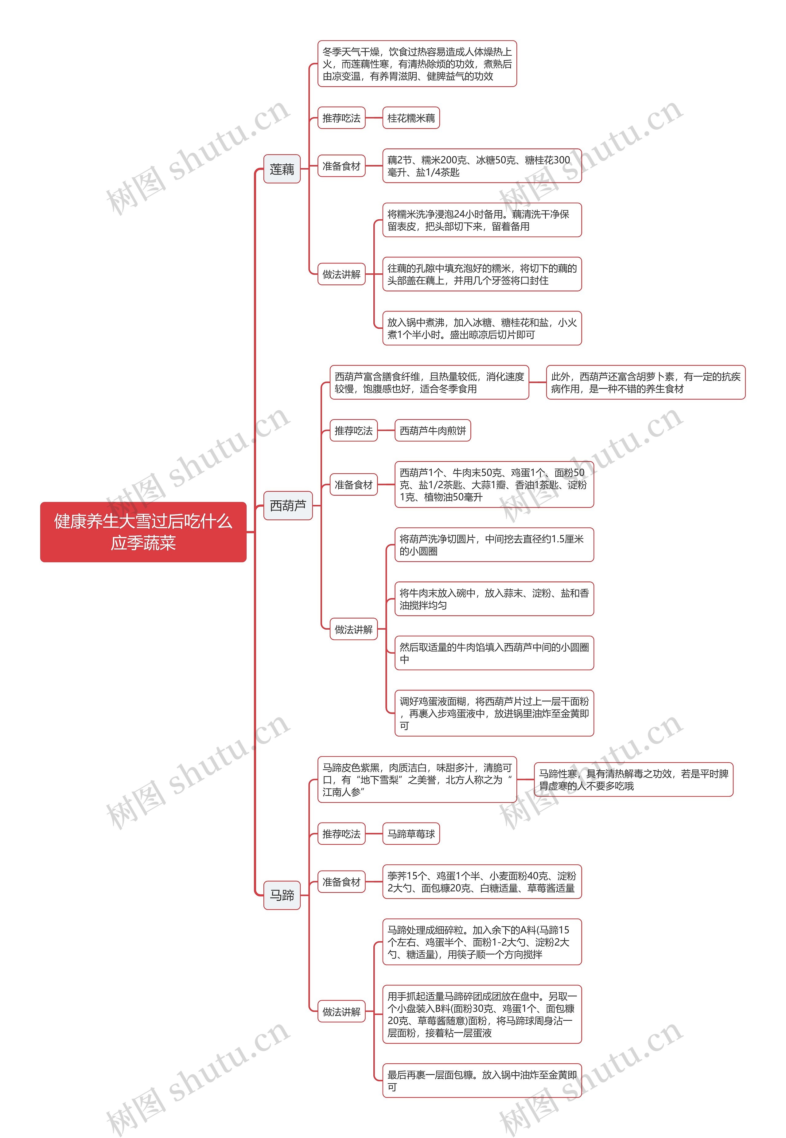 健康养生大雪过后吃什么应季蔬菜思维导图