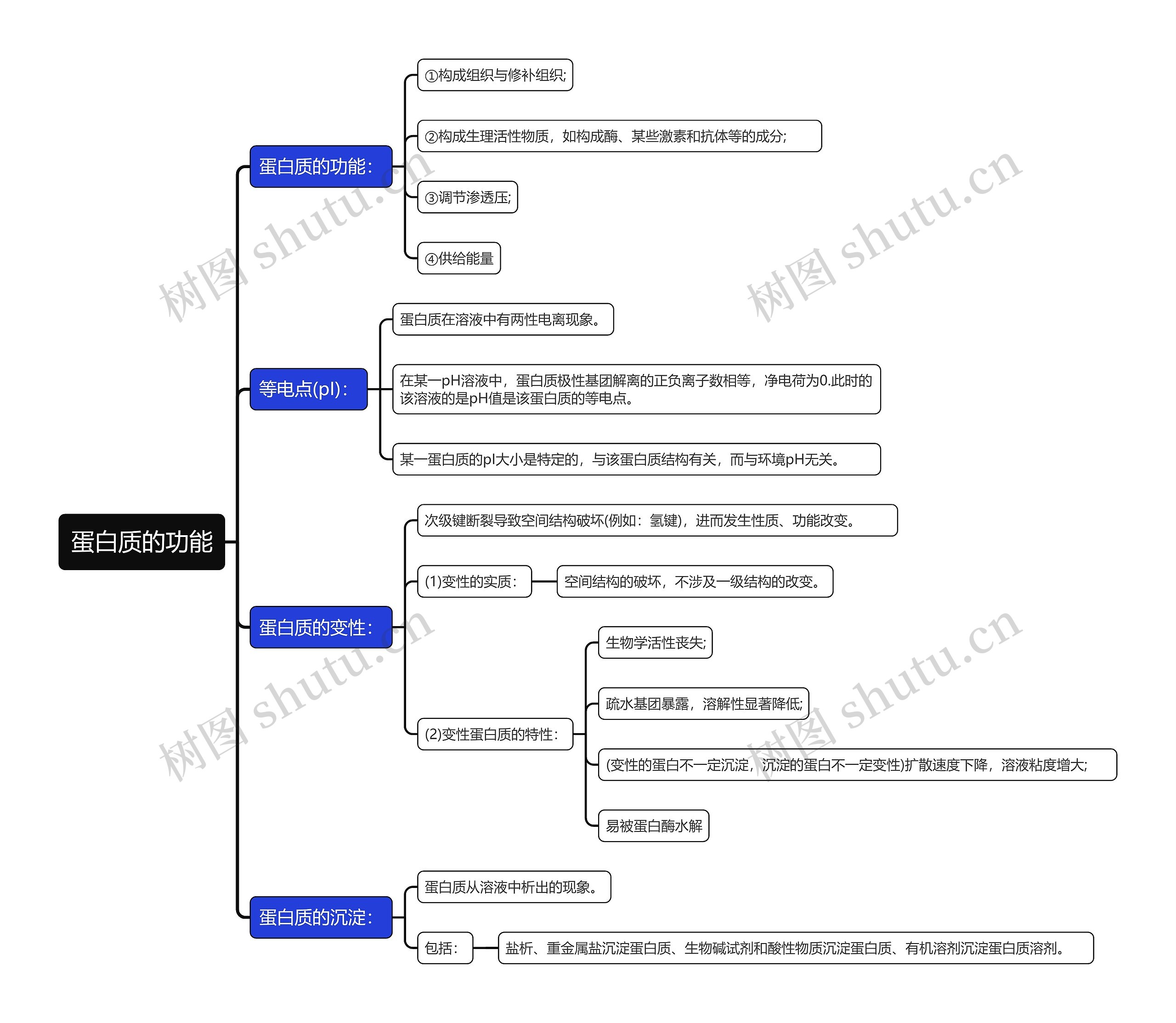 蛋白质的功能思维导图
