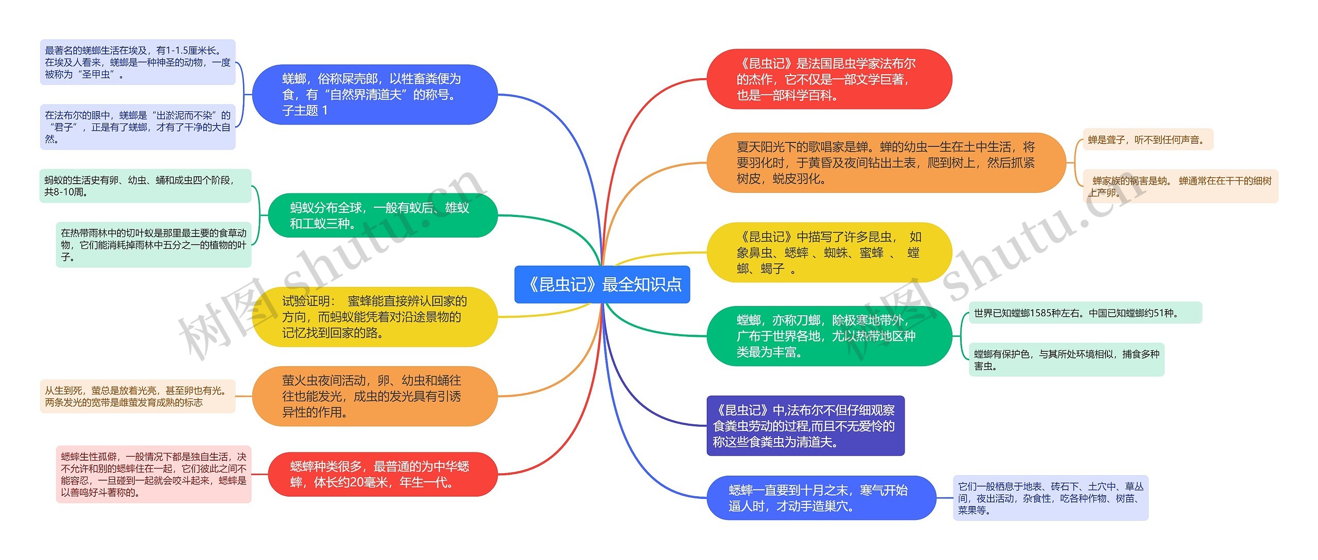 《昆虫记》最全知识点思维导图