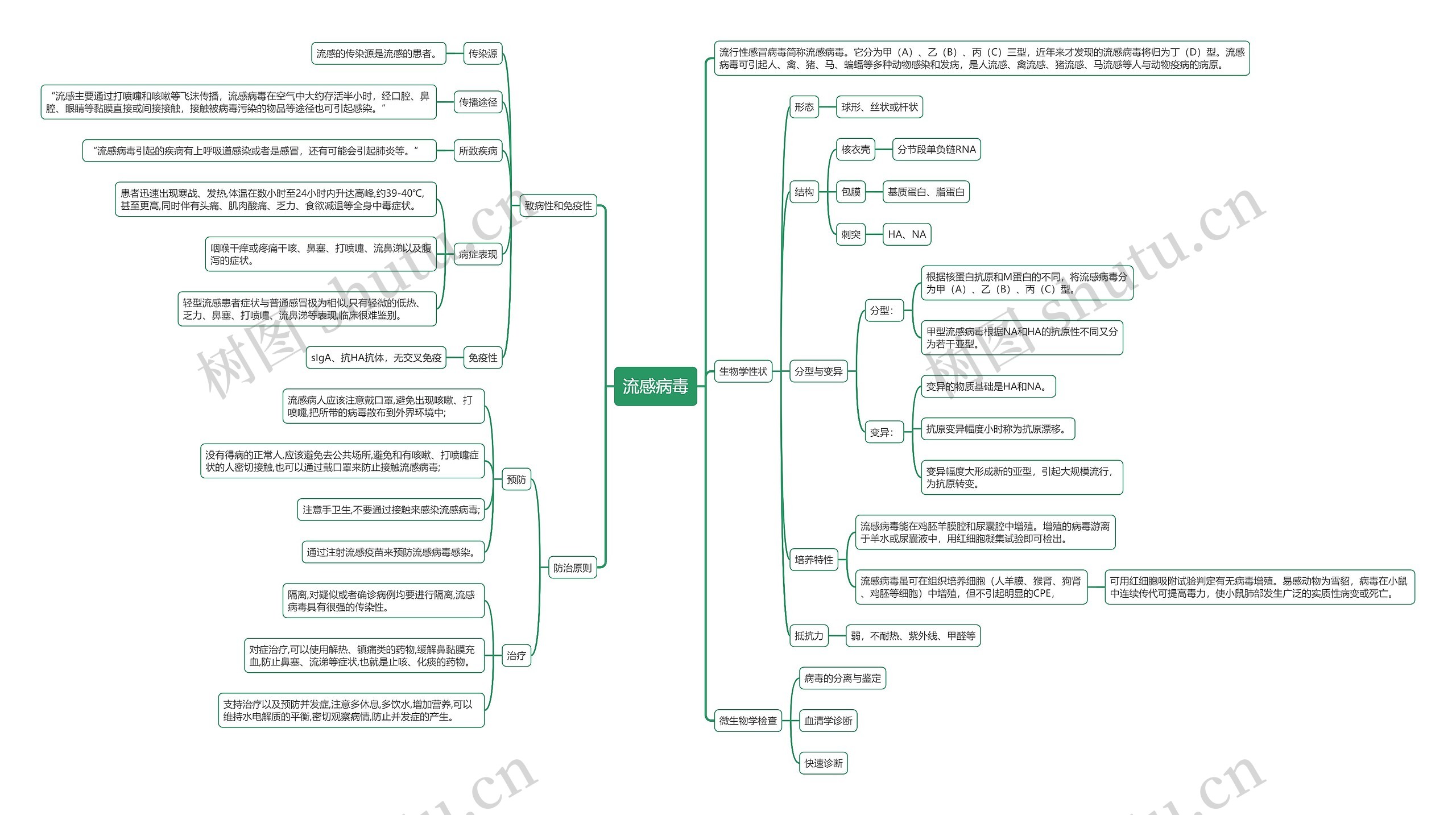 流感病毒思维导图