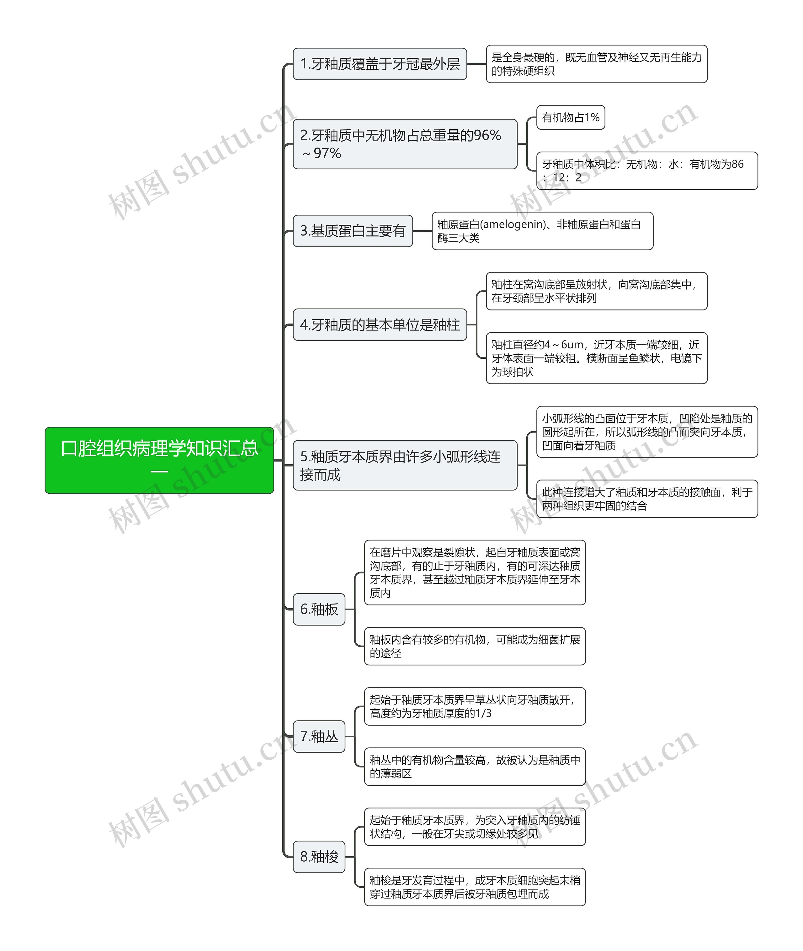 口腔组织病理学知识汇总一思维导图