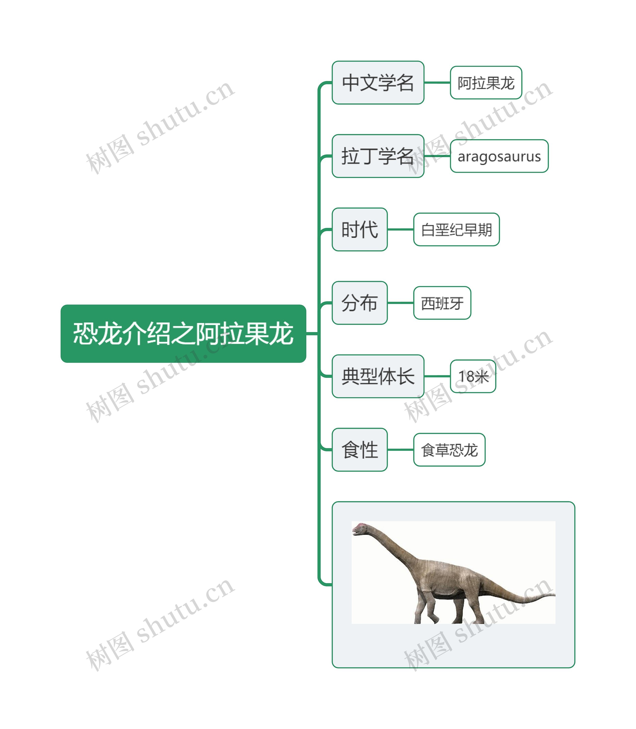 恐龙介绍之阿拉果龙思维导图