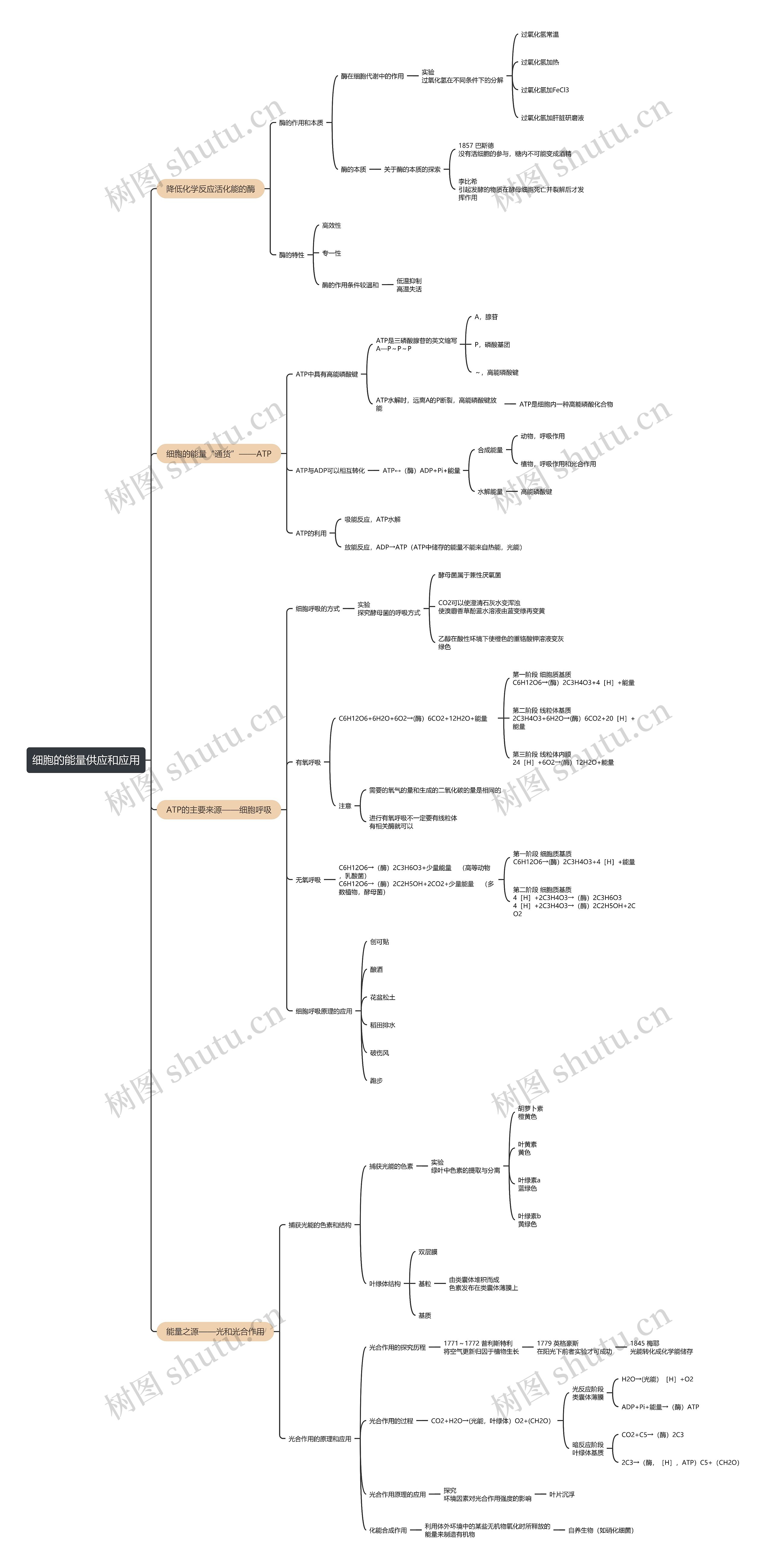 细胞的能量供应和应用思维导图
