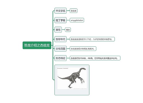 恐龙介绍之杏齿龙思维导图