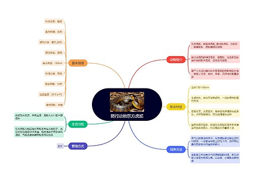 爬行动物东方虎蛇