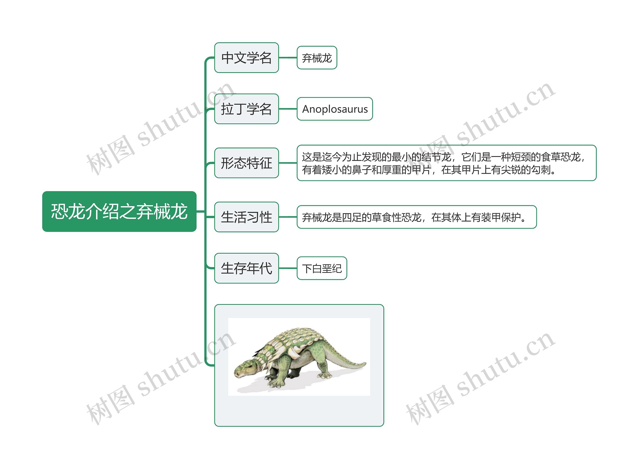 恐龙介绍之弃械龙思维导图