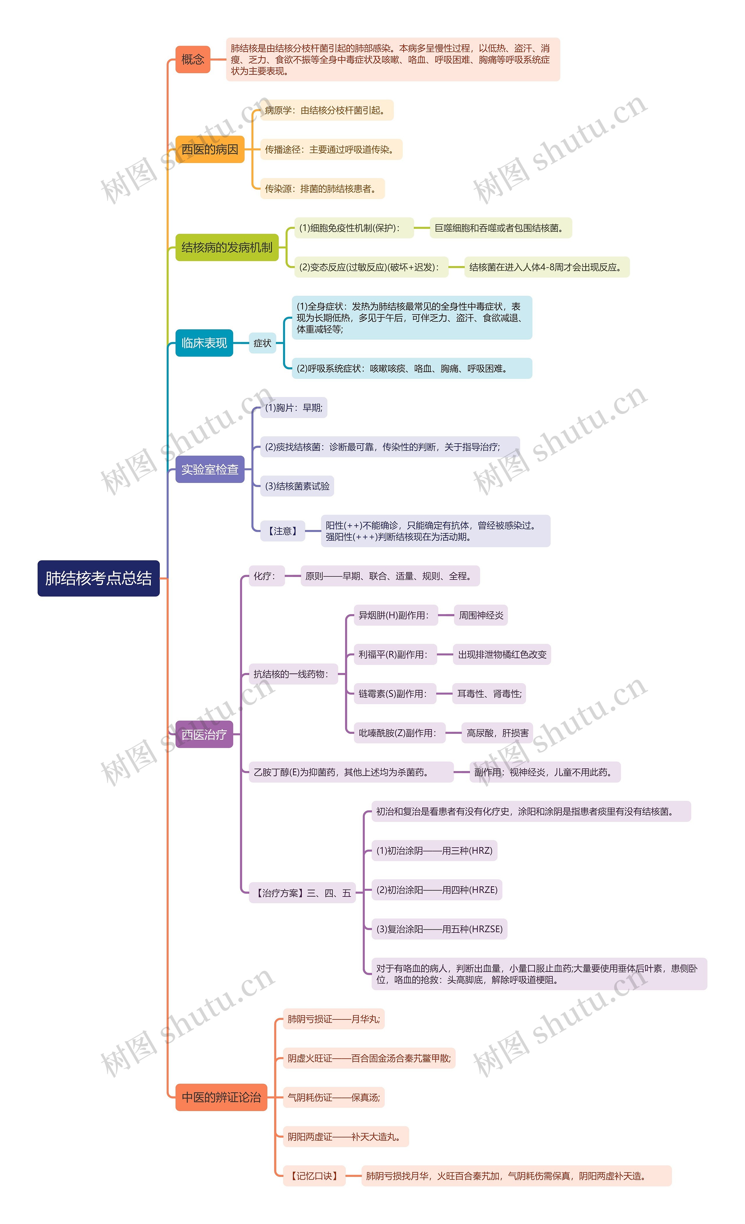 肺结核考点总结思维导图