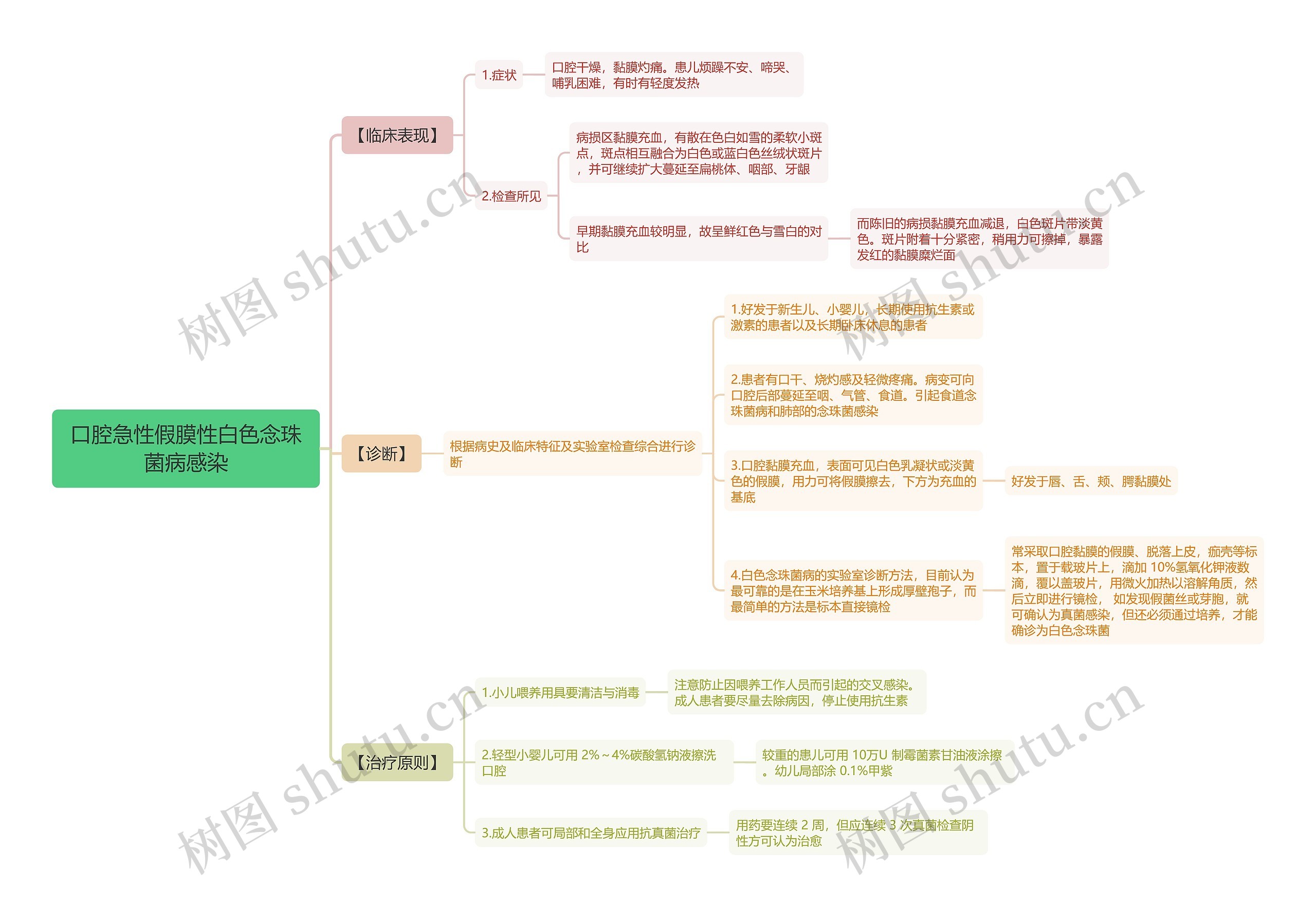 口腔急性假膜性白色念珠菌病感染思维导图