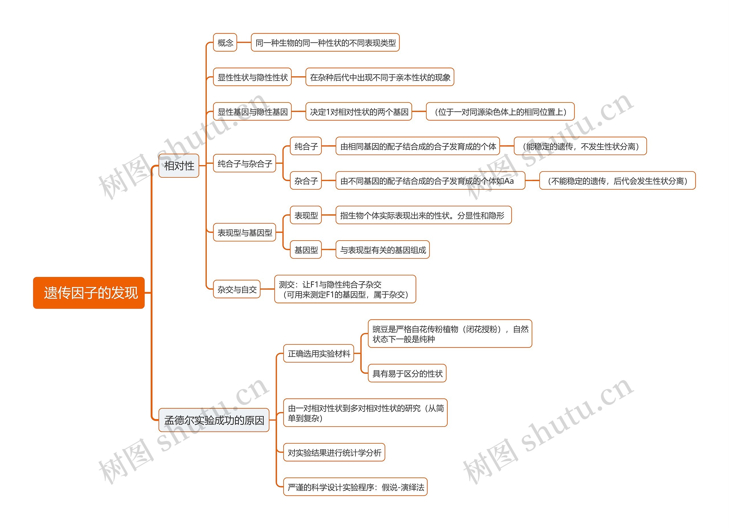  遗传因子的发现思维导图