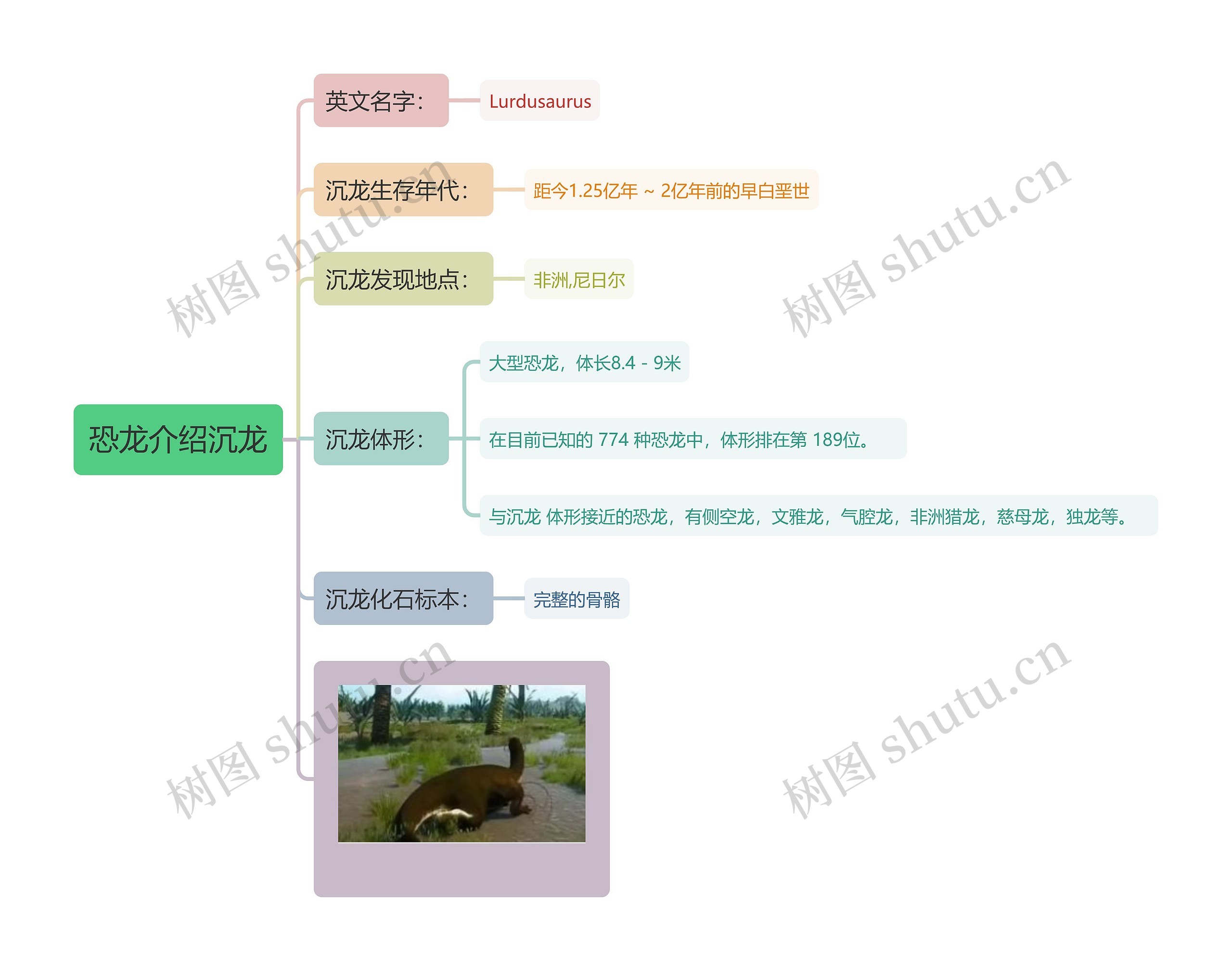 恐龙介绍沉龙思维导图