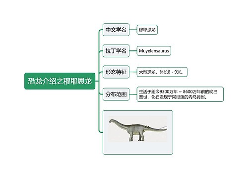 恐龙介绍之穆耶恩龙思维导图