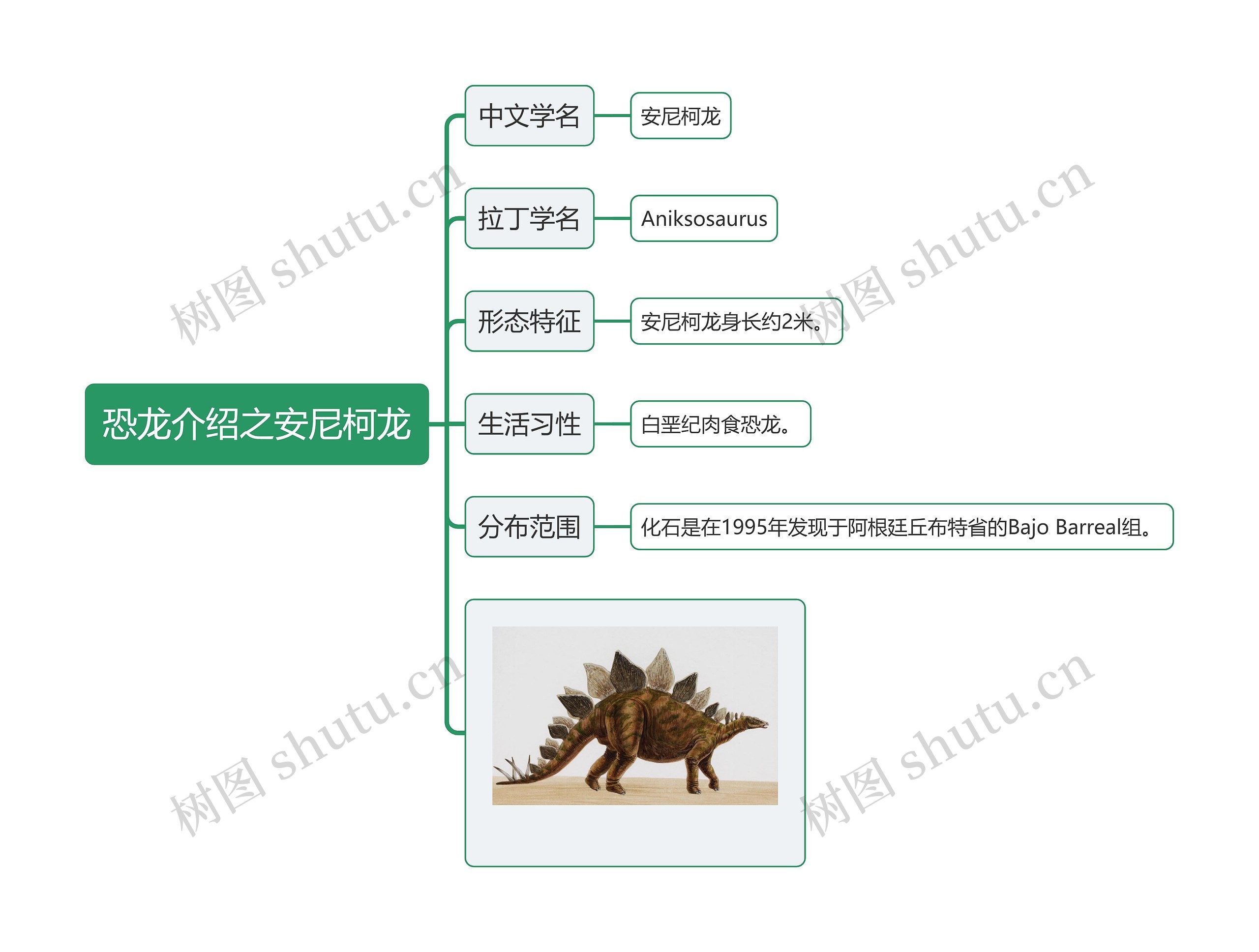 恐龙介绍之安尼柯龙思维导图