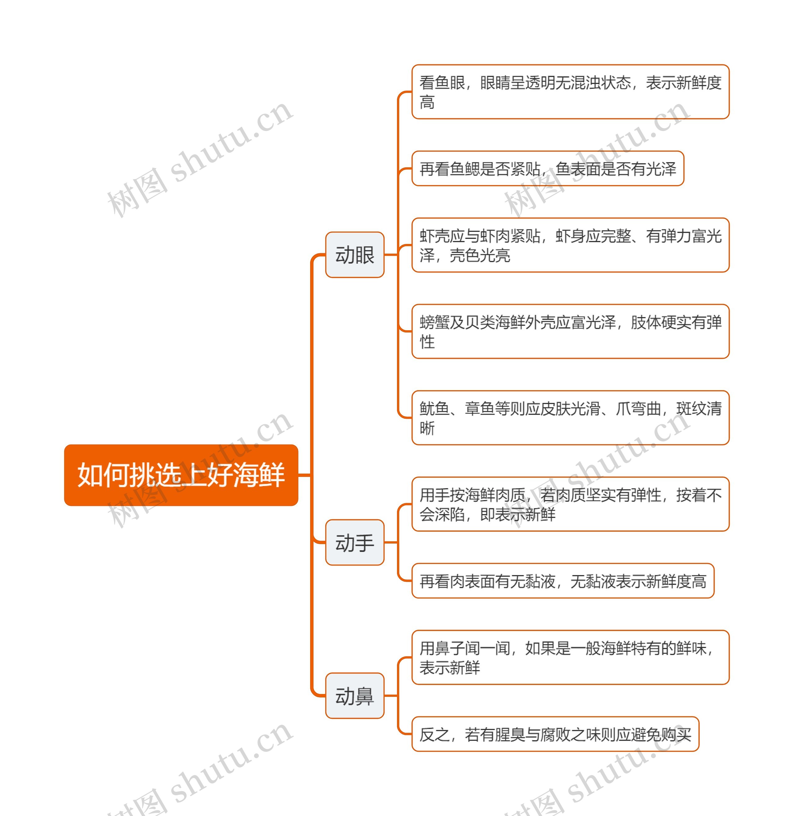 如何挑选上好海鲜思维导图