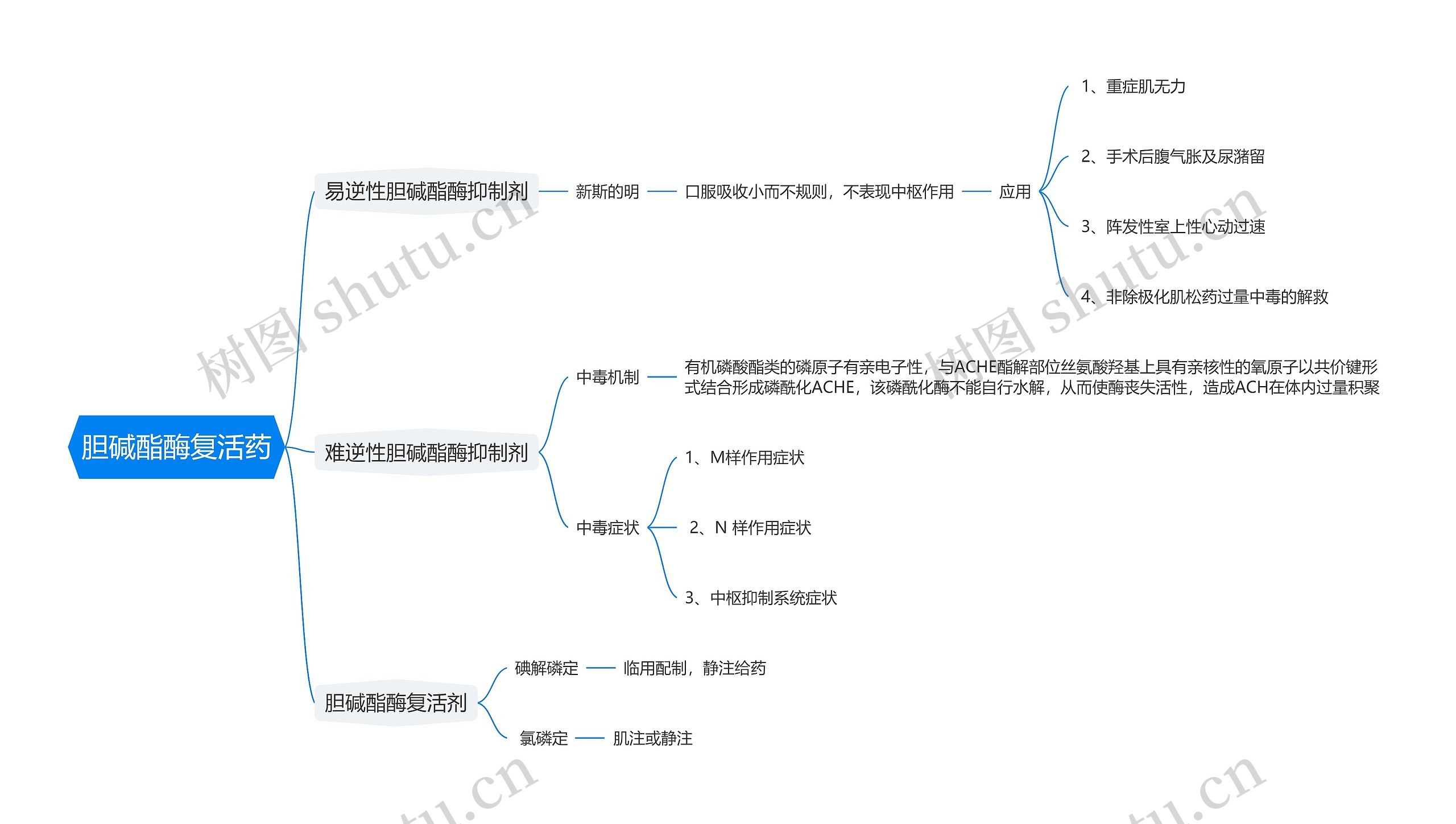 胆碱酯酶复活药思维导图