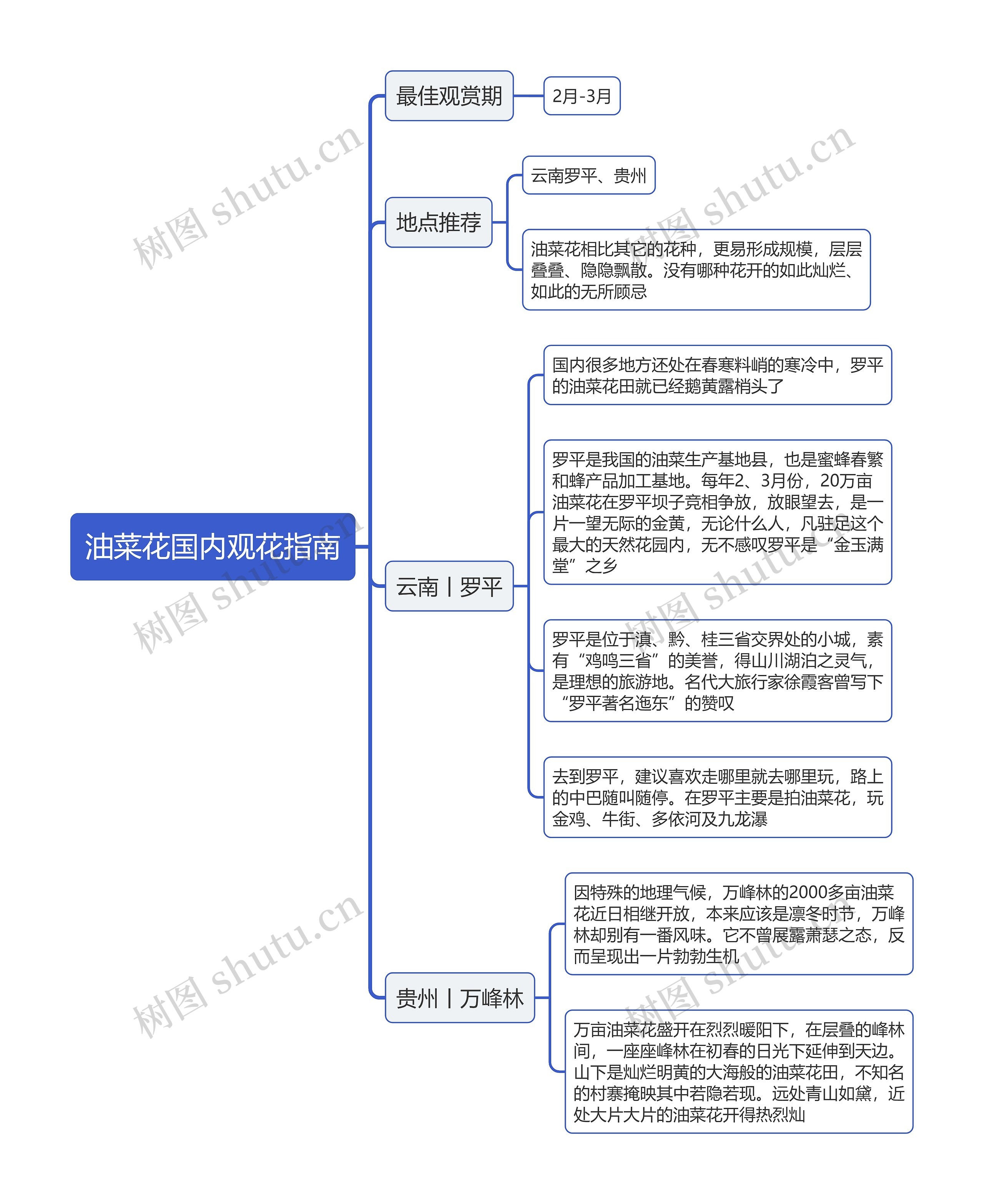 油菜花国内观花指南思维导图