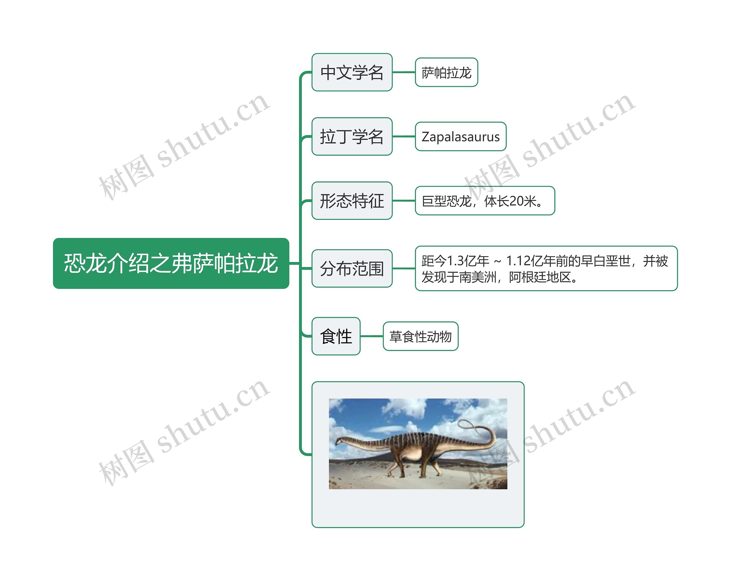 恐龙介绍之弗萨帕拉龙思维导图