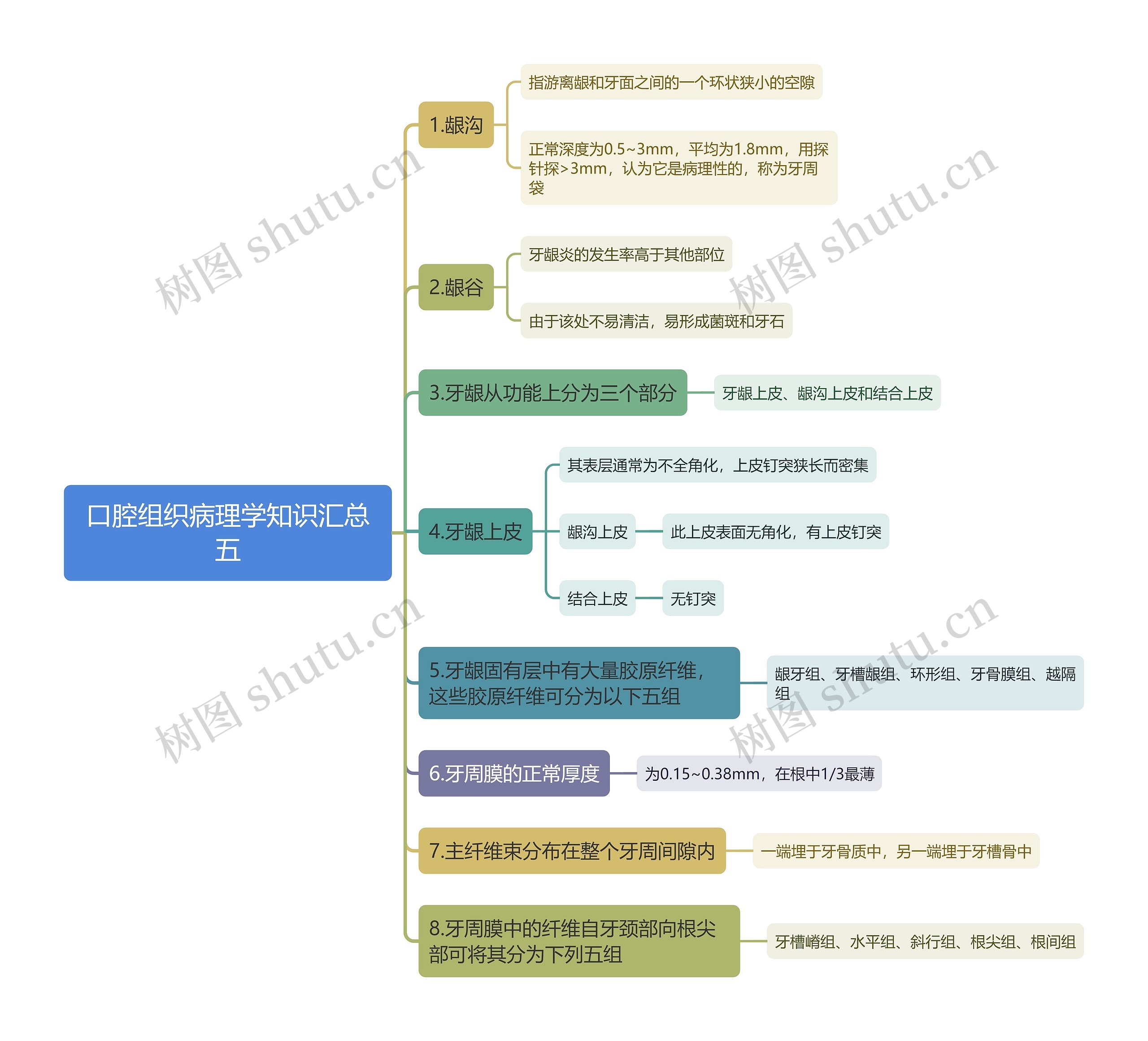 口腔组织病理学知识汇总五思维导图