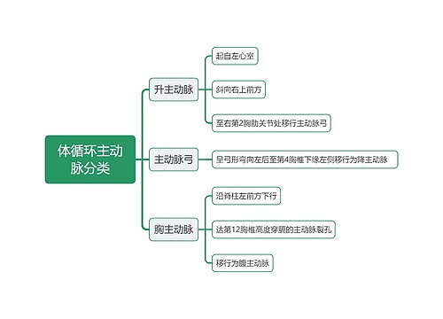 体循环主动脉分类思维导图