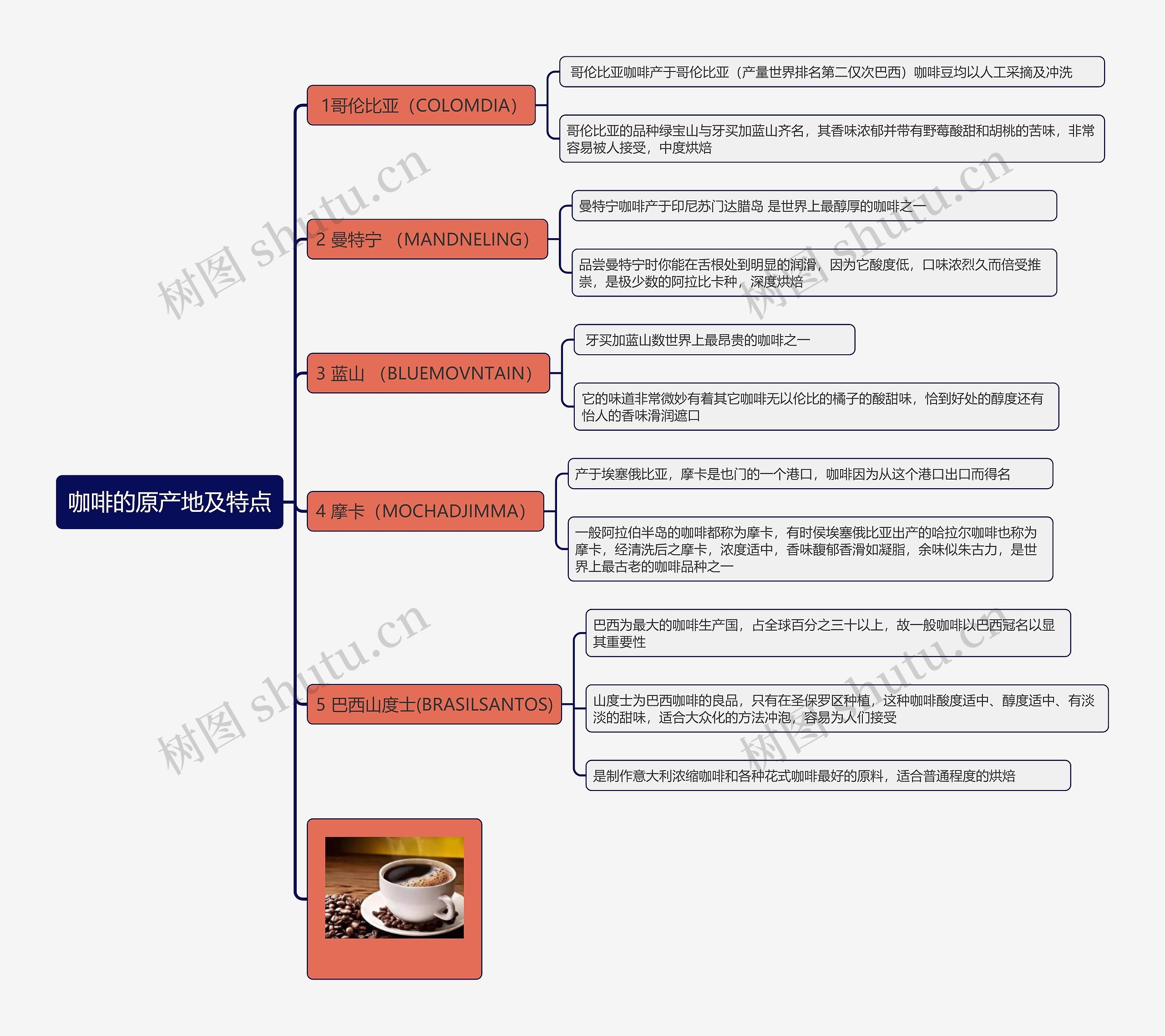咖啡的原产地及特点思维导图