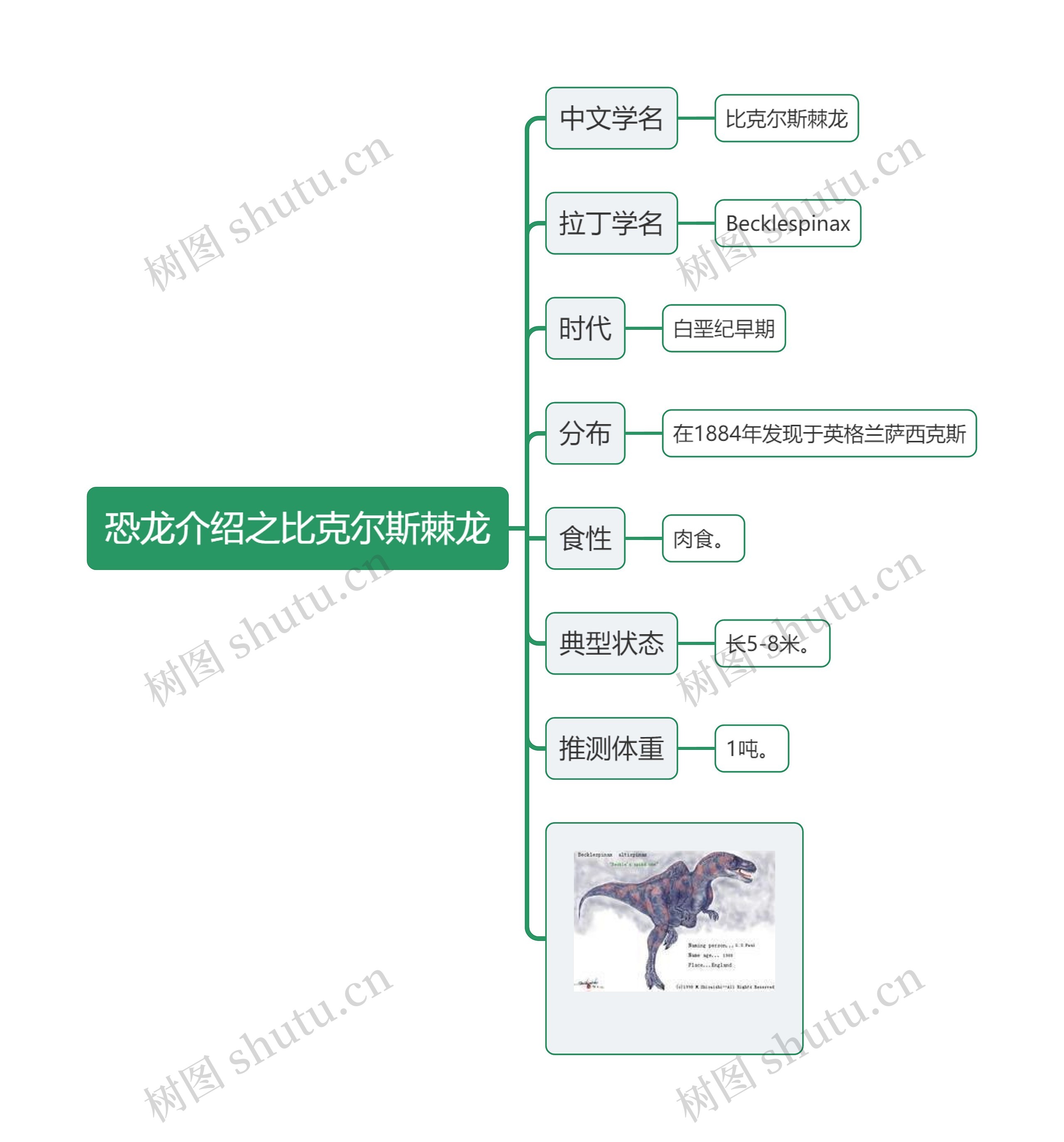 恐龙介绍之比克尔斯棘龙思维导图