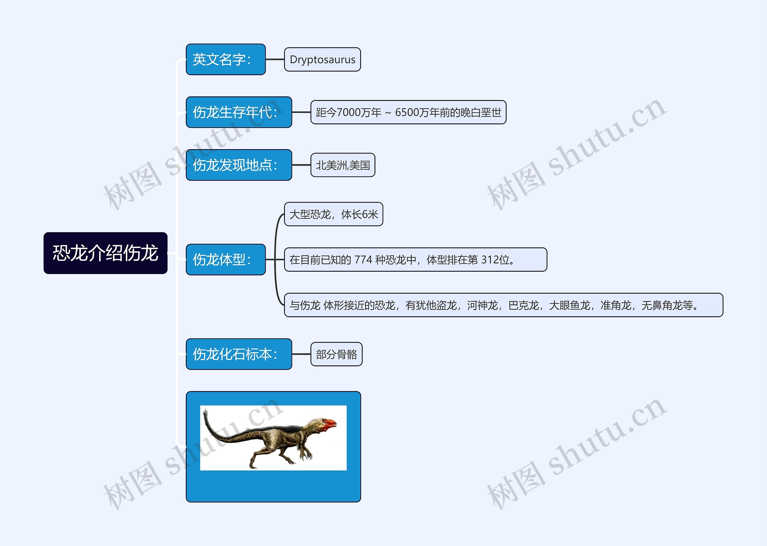 恐龙介绍伤龙