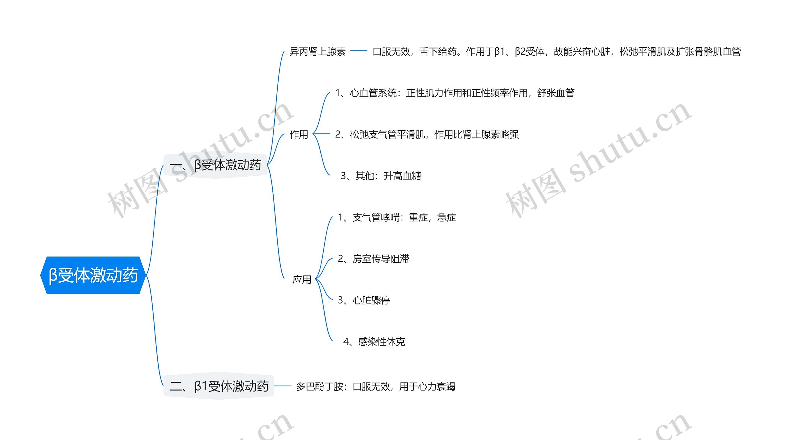 β受体激动药思维导图