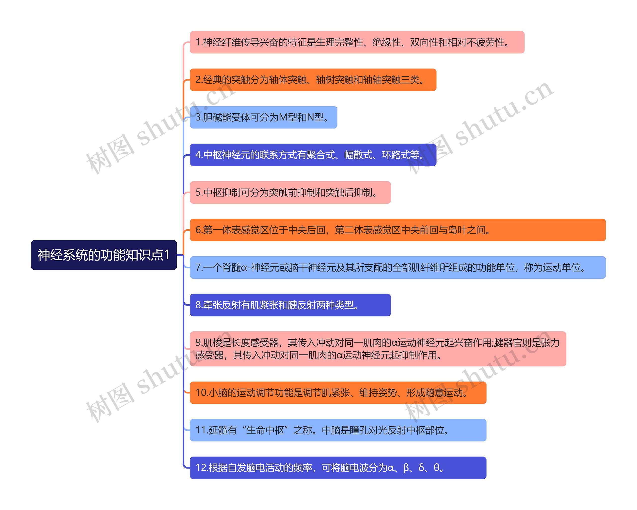 神经系统的功能知识点1思维导图