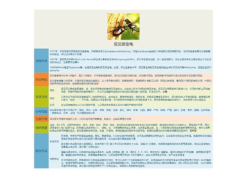 双叉犀金龟思维导图