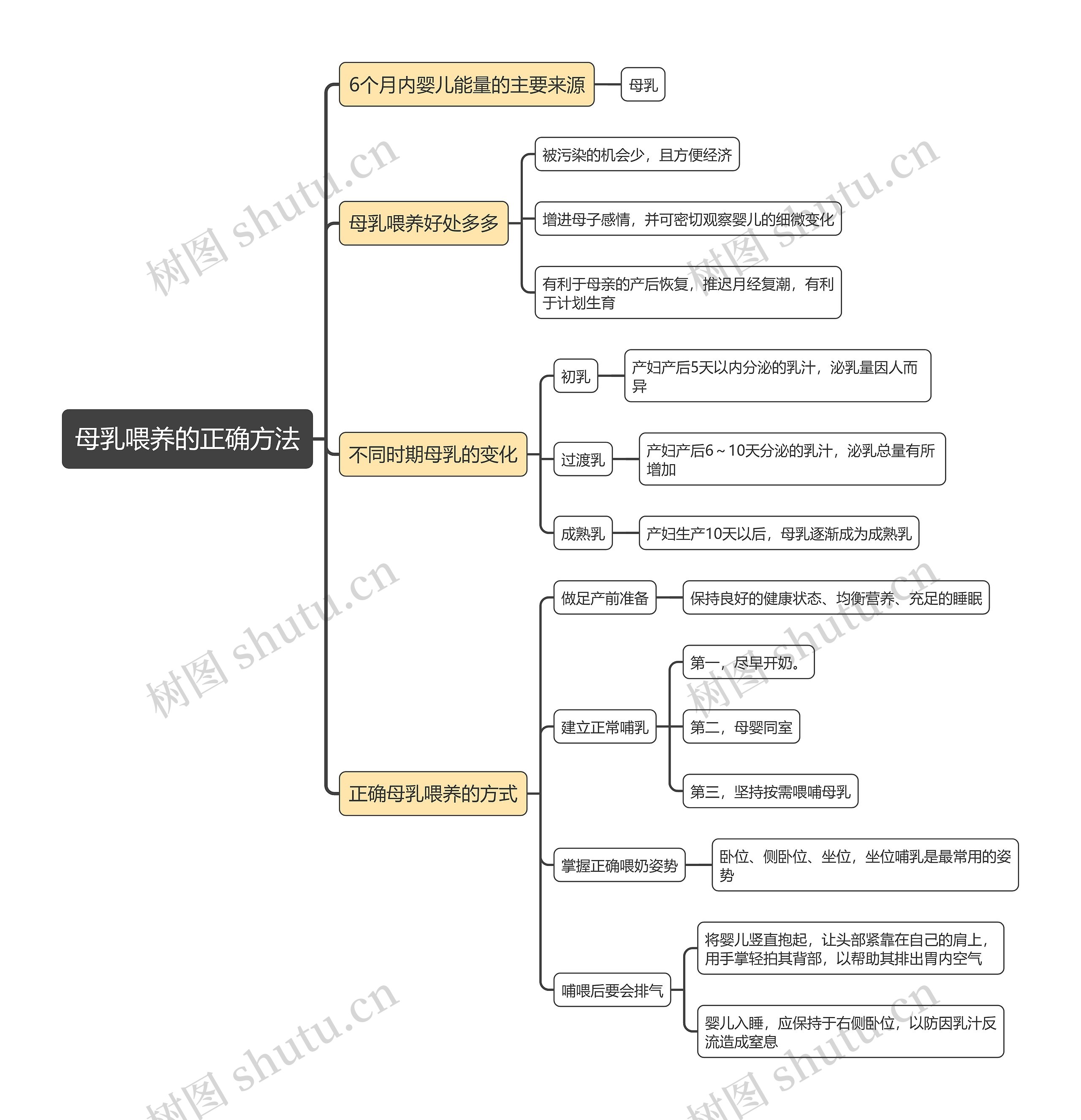 母乳喂养的正确方法思维导图