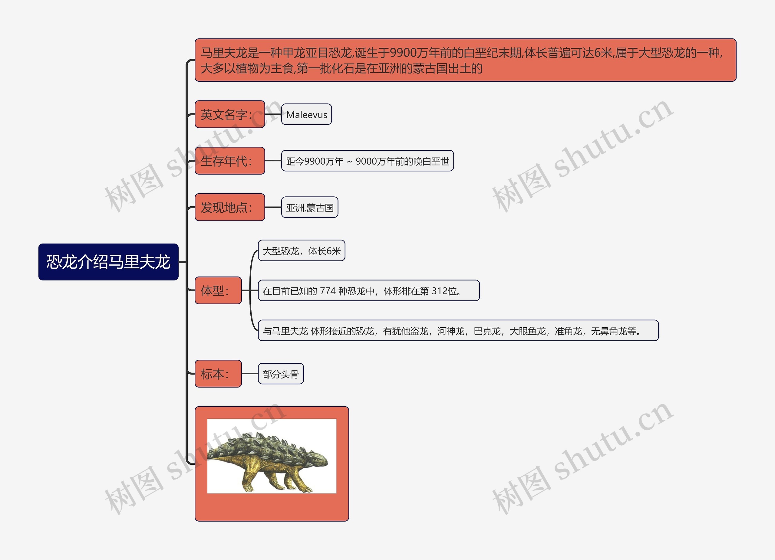 恐龙介绍马里夫龙