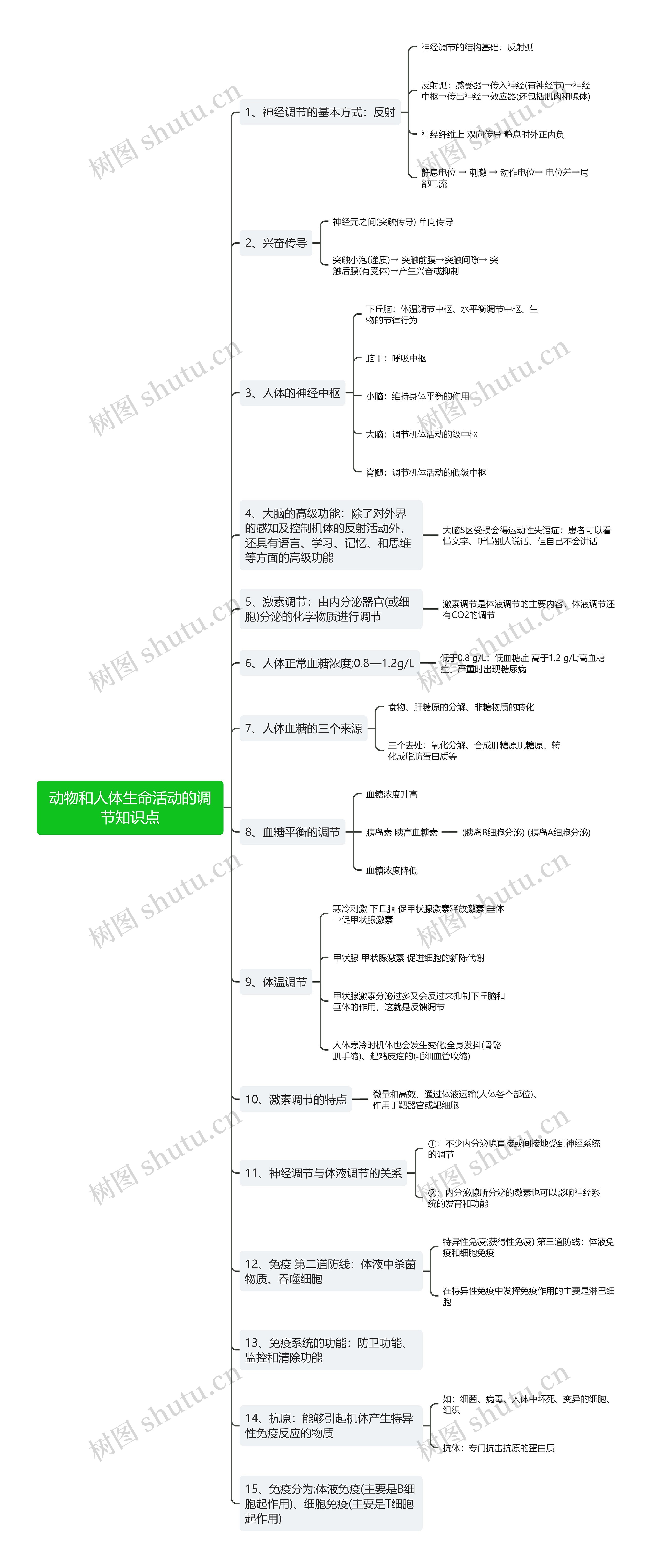 动物和人体生命活动的调节知识点思维导图