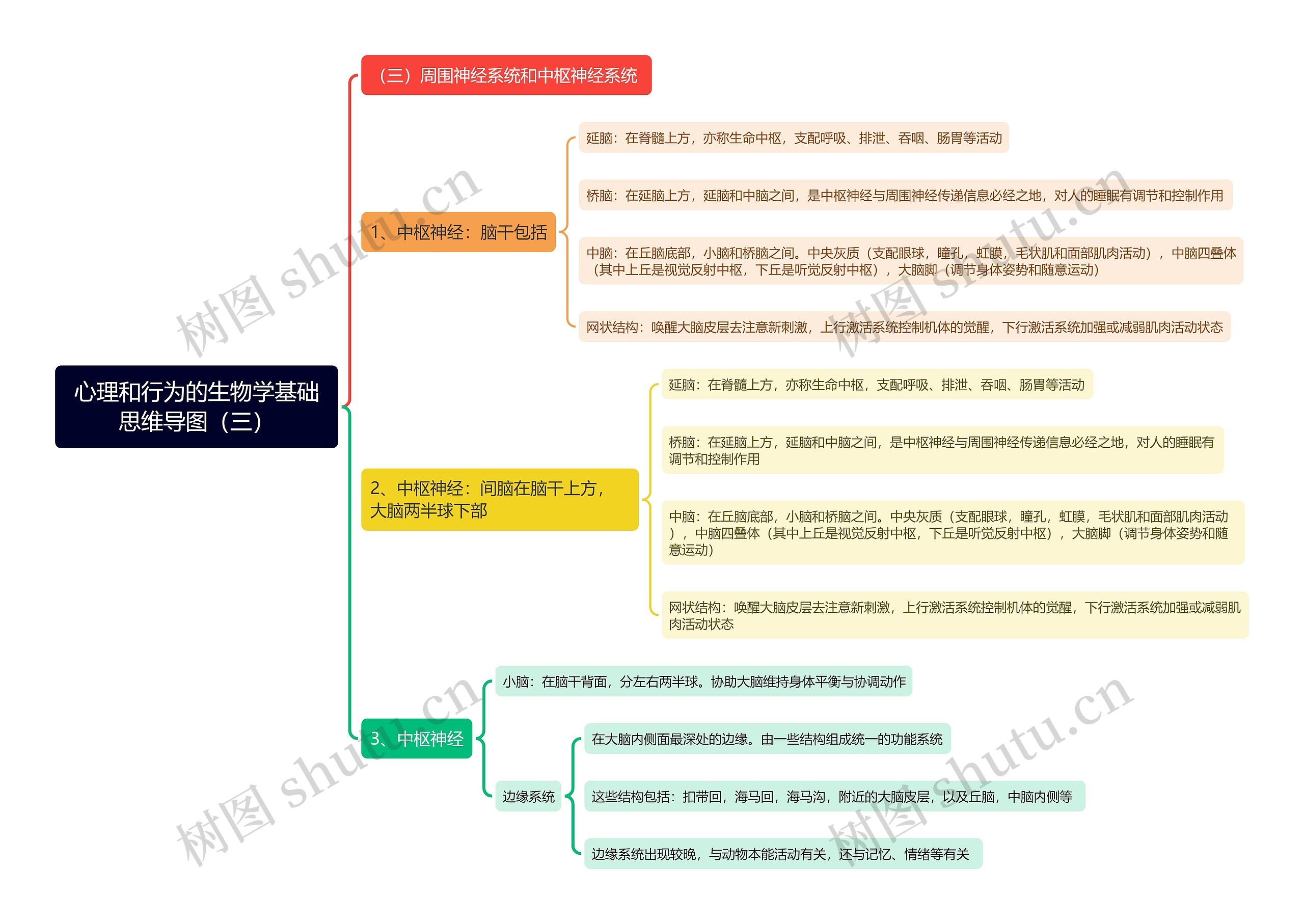 心理和行为的生物学基础（三）思维导图