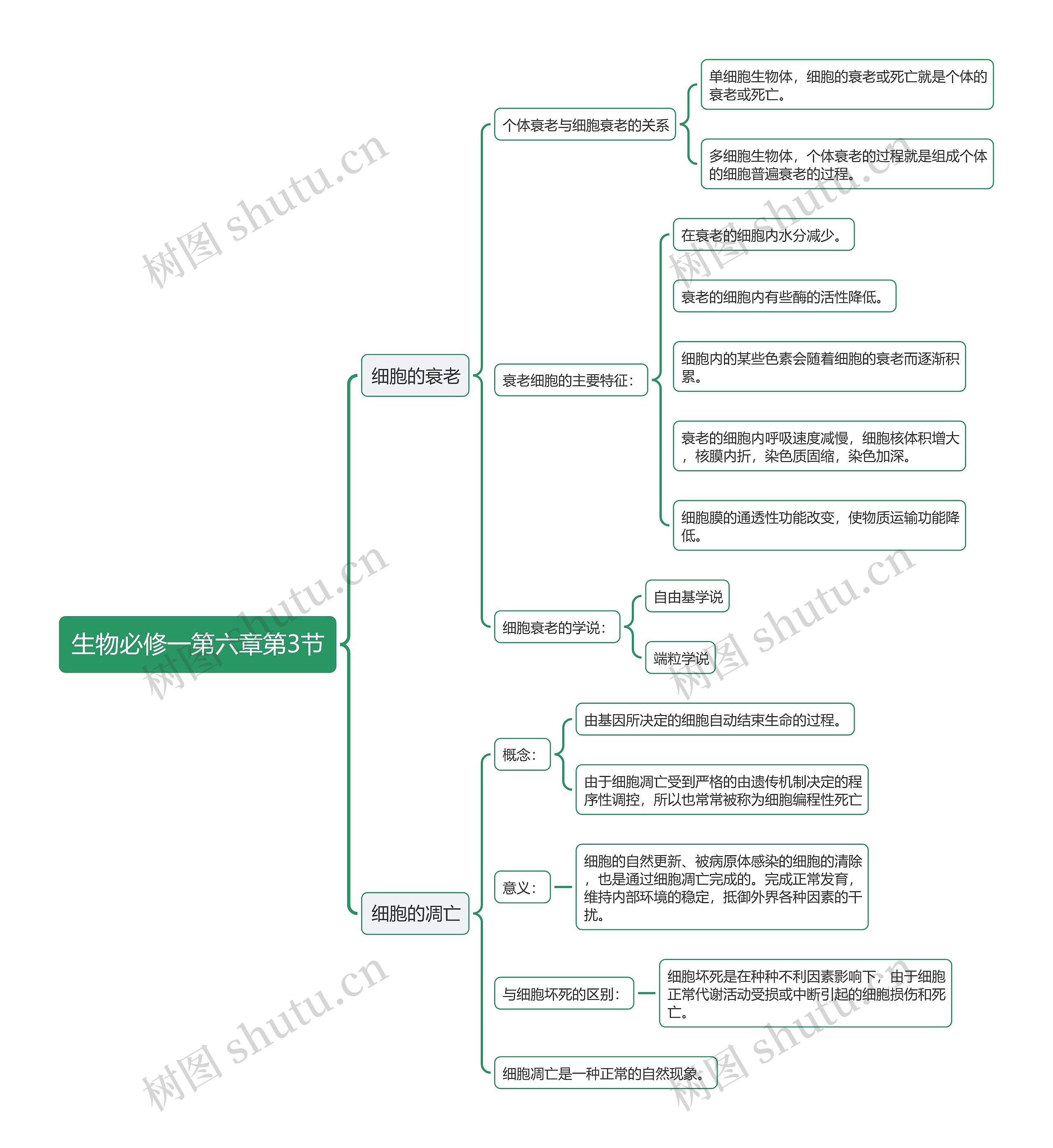 生物必修一第六章第3节思维导图